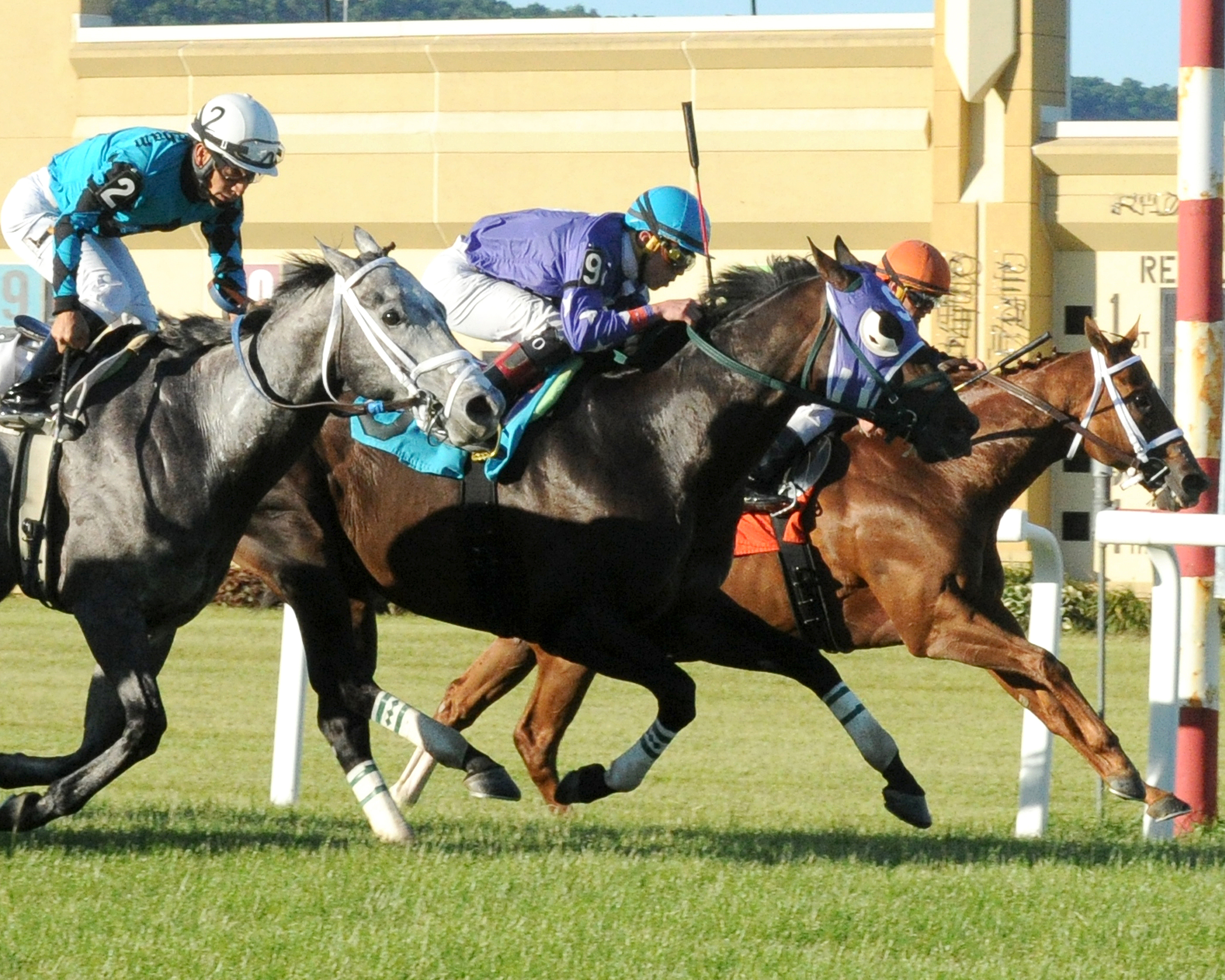 Richard's Boy wins the Governor's Cup