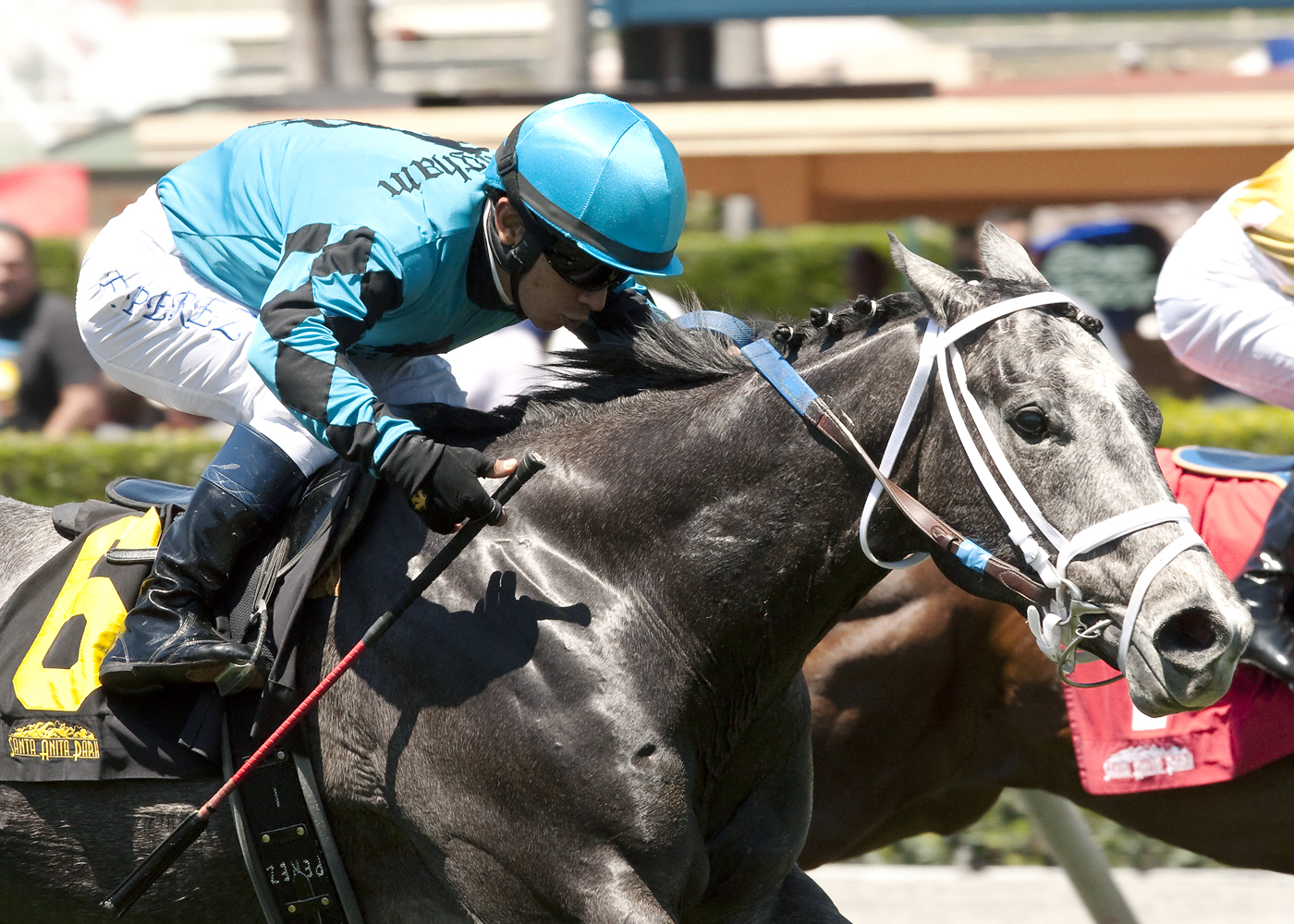 Richard's Boy wins the Desert Code