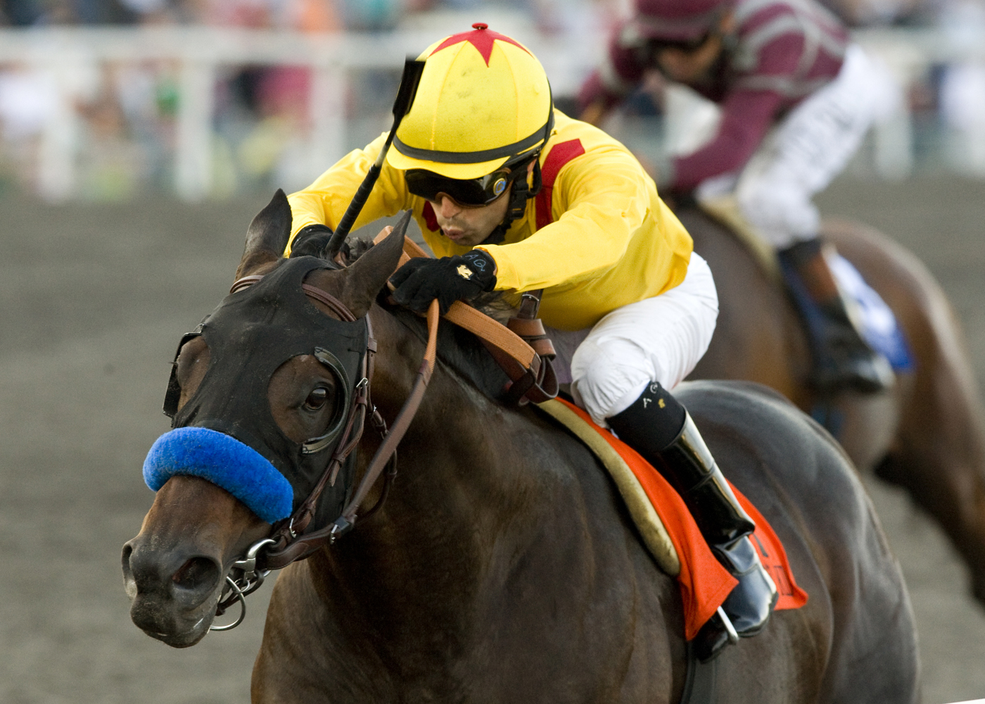 Richard's Kid - Eclipse Awards