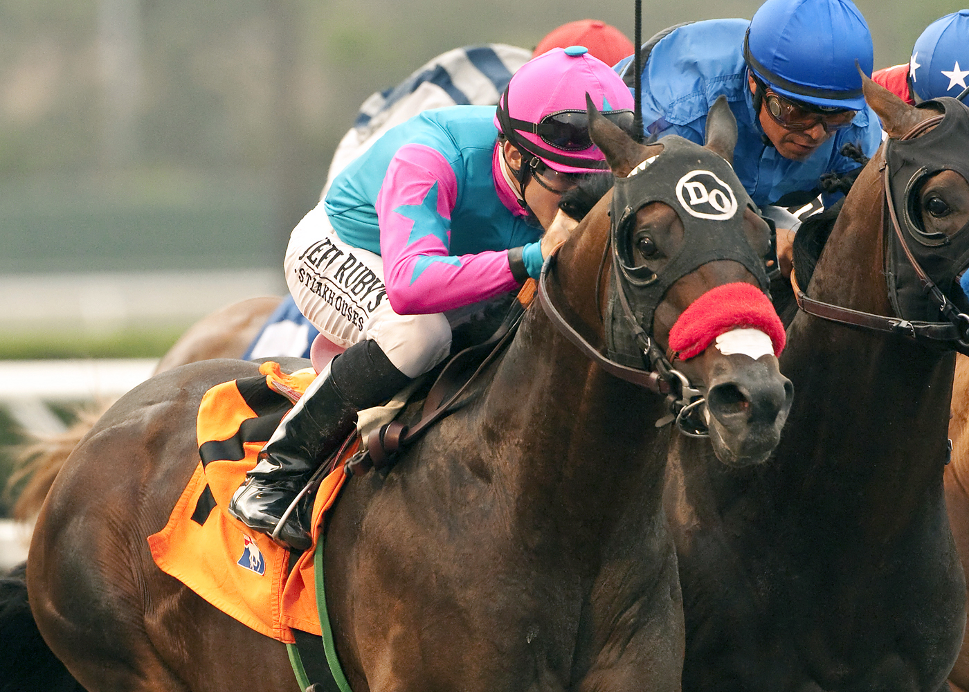 Richard's Kid, Cougar II Handicap