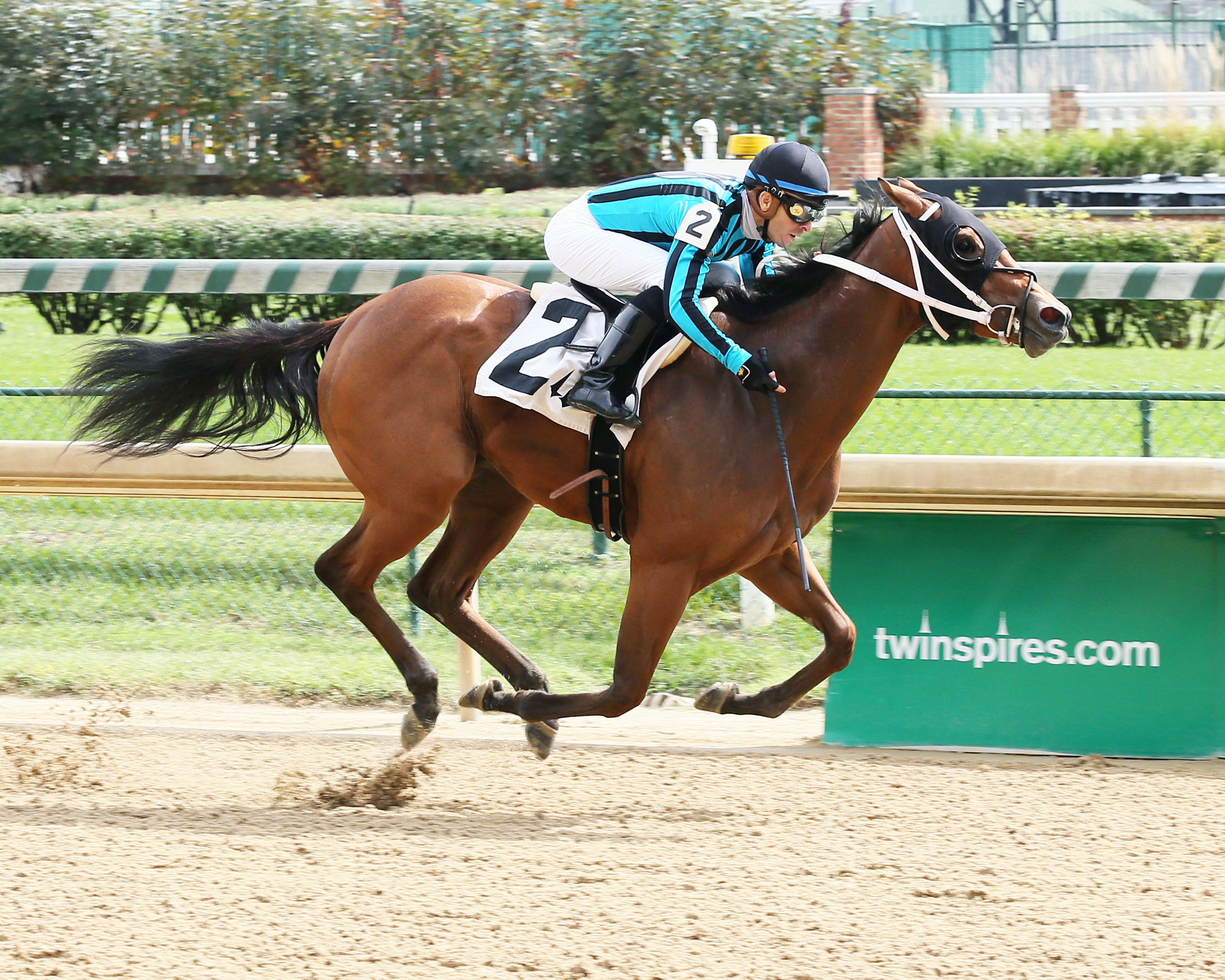 Richie'slilwildcat wins an Oct. 1 allowance