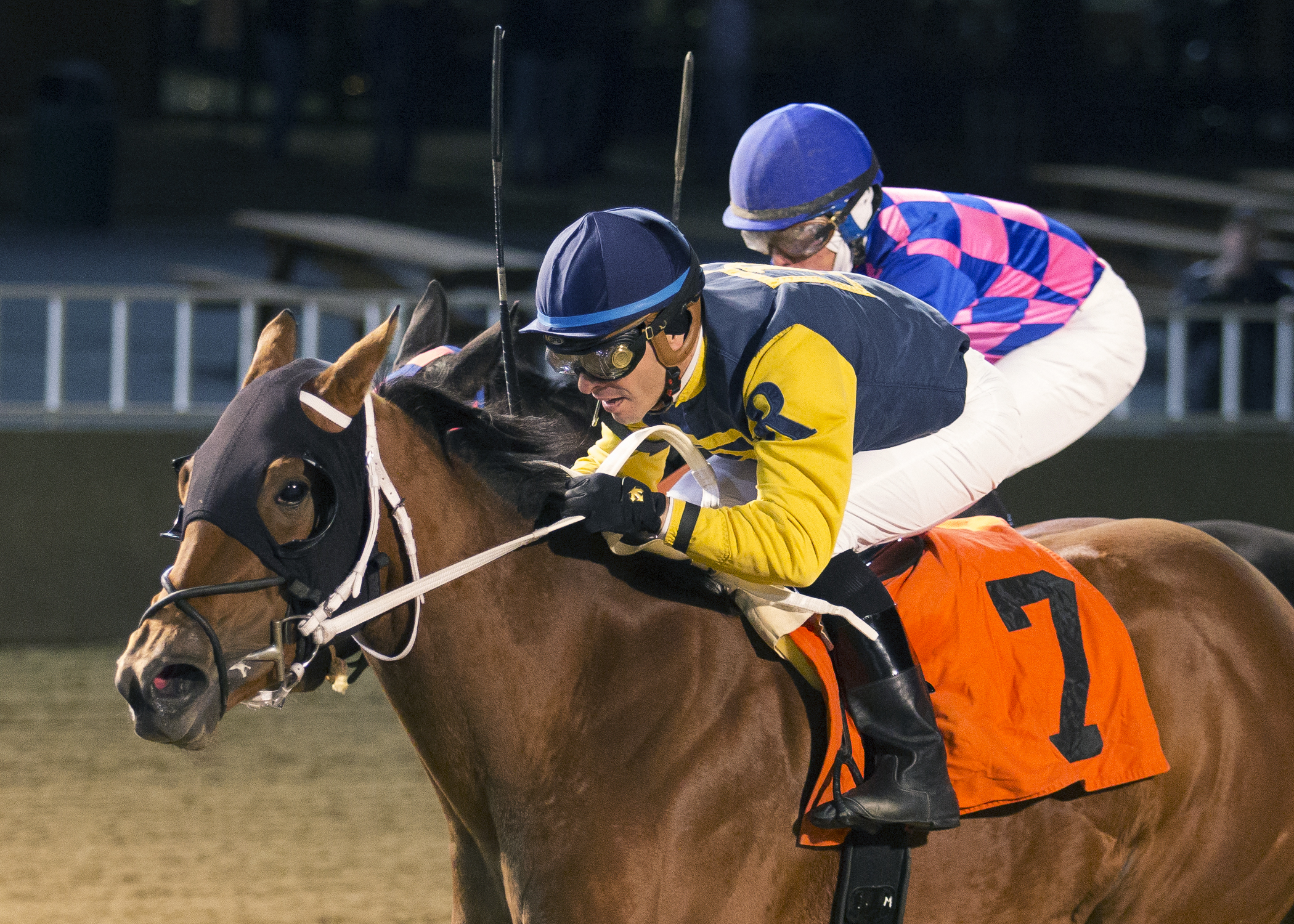 Richie'slilwildcat wins the 2017 Showtime Deb Stakes