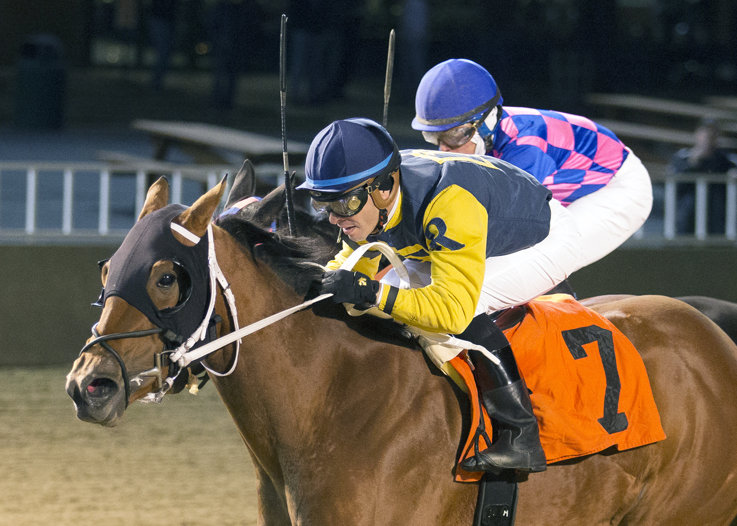 Richie'slilwildcat wins the 2017 Showtime Deb Stakes