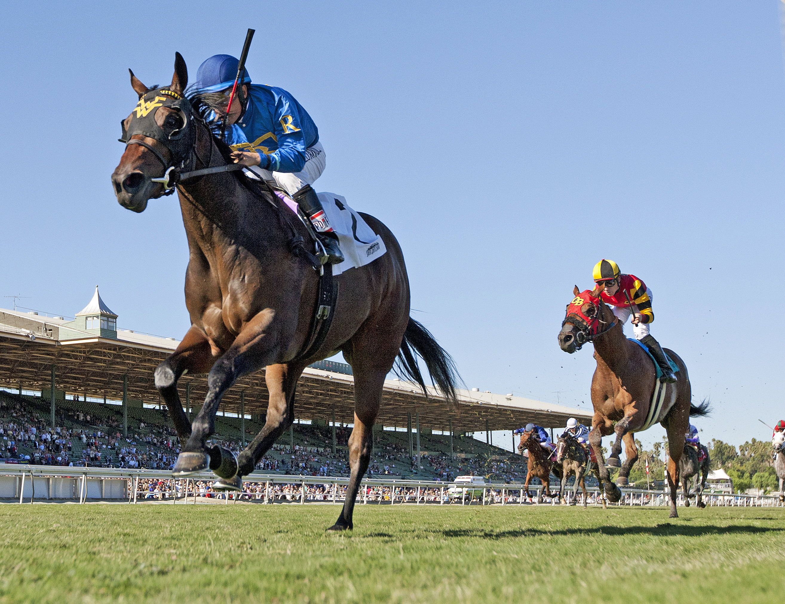 Richies Party Girl wins the Juvenile Turf Sprint