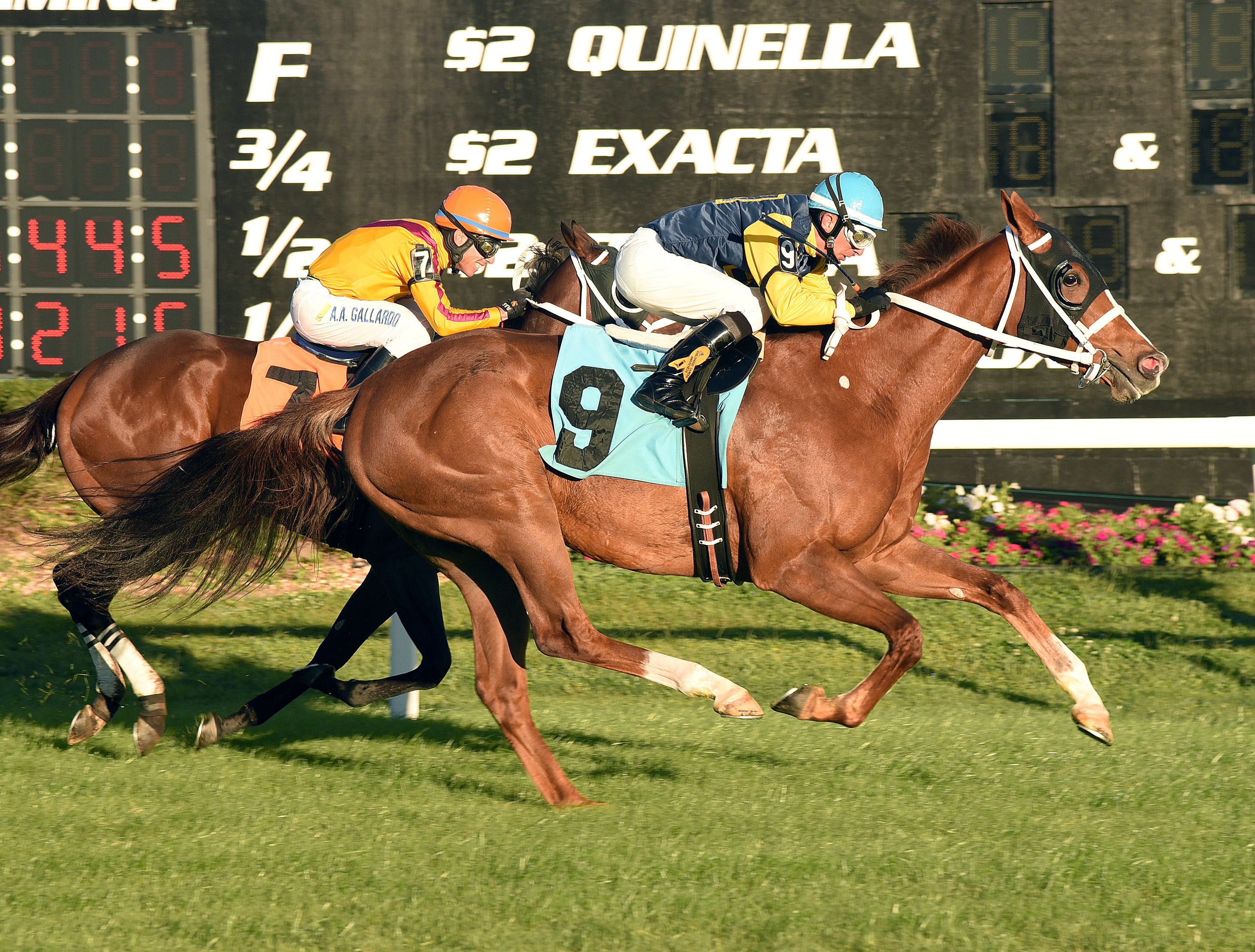 Richies Sweetheart wins the Lightning City