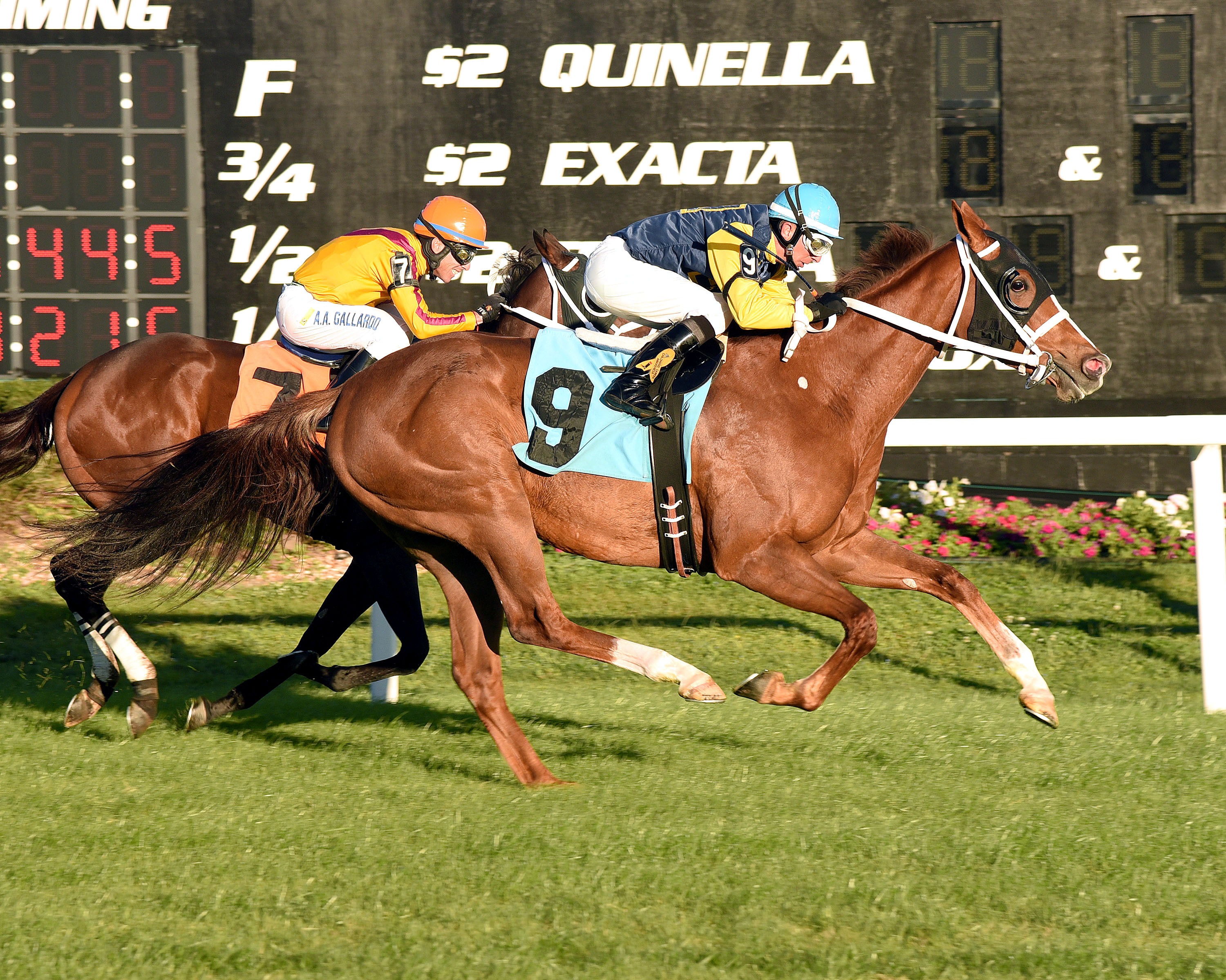 Richies Sweetheart wins the Lightning City Stakes