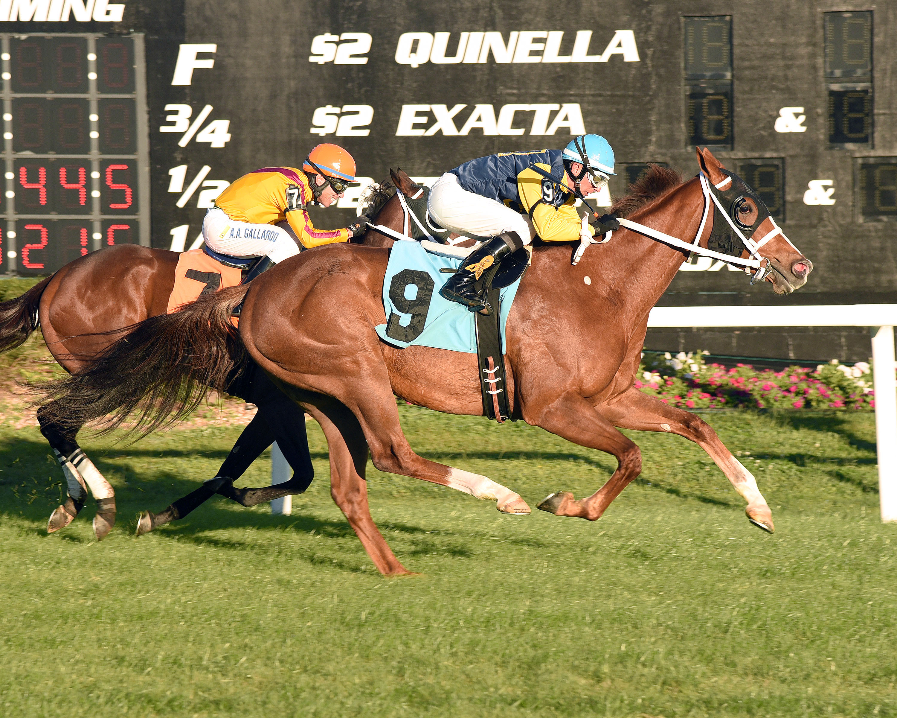 Richies Sweetheart wins the 2015 Lightning City Stakes