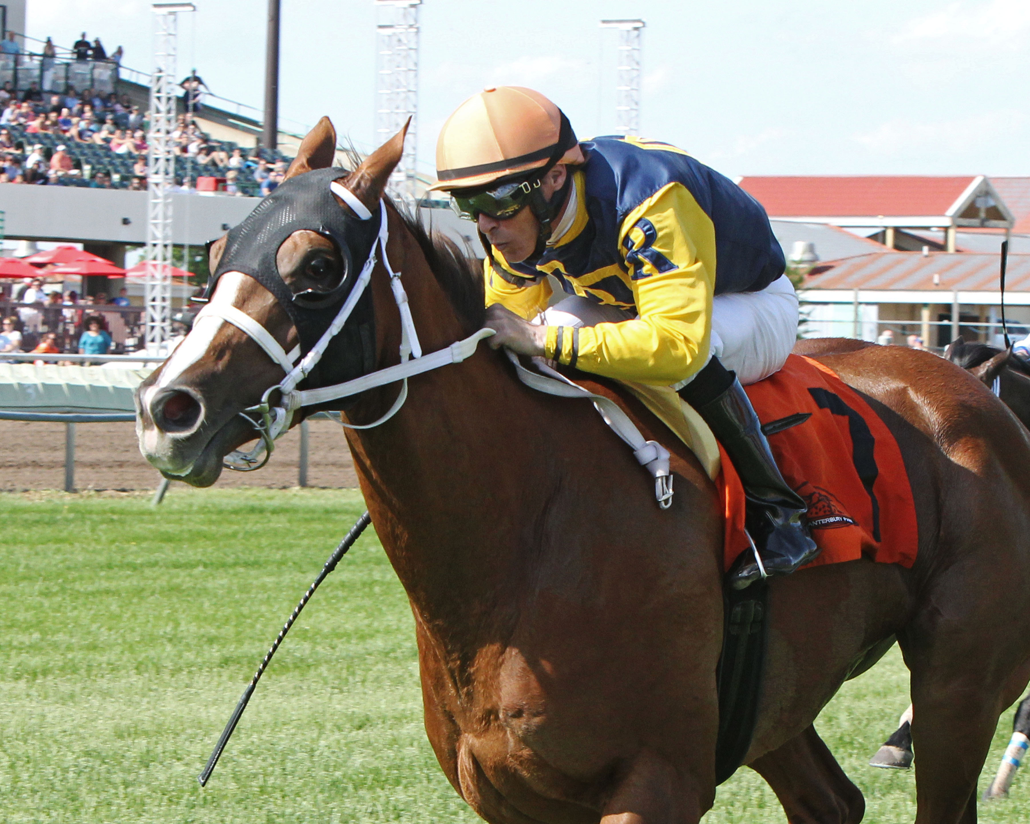 Richies Sweetheart wins the Honor the Hero Stakes