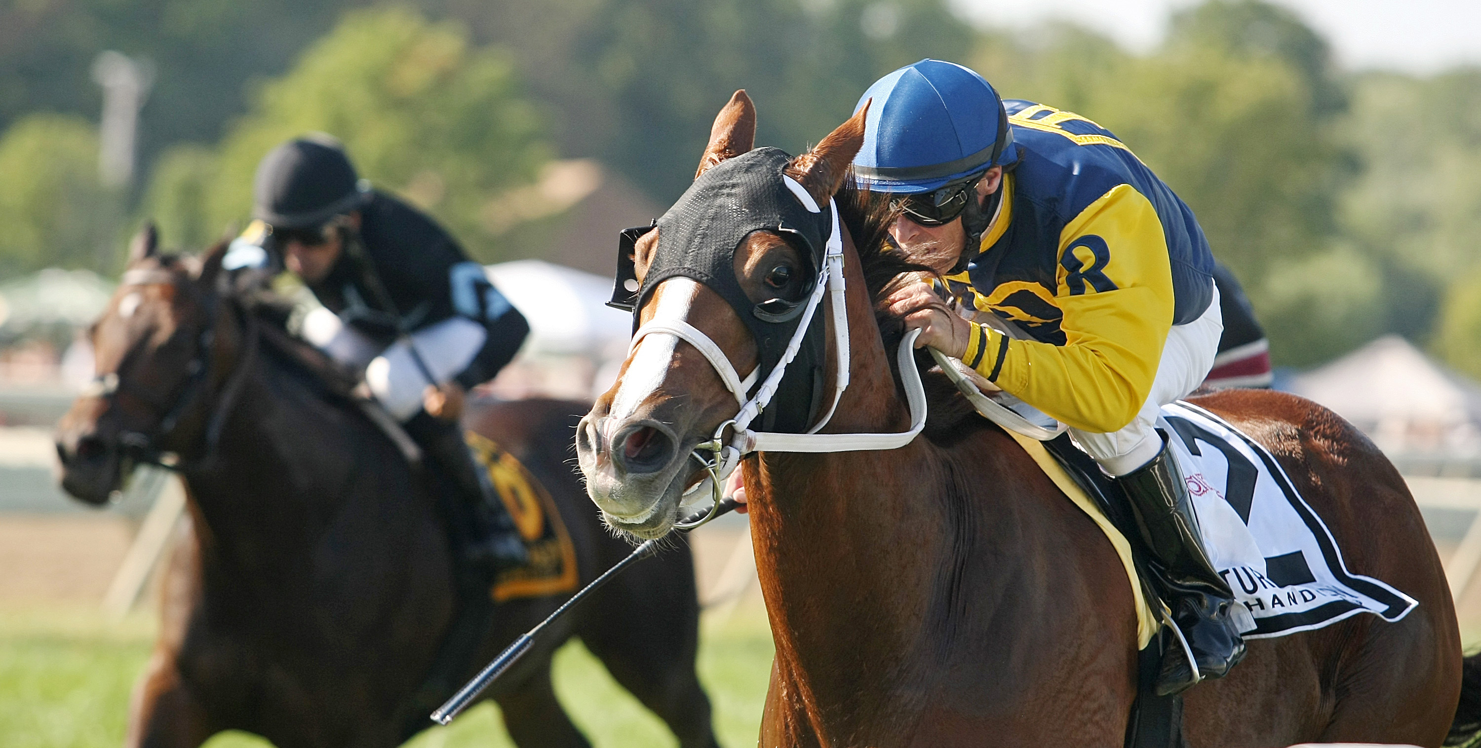 Richies Sweetheart wins the Turf Amazon Handicap