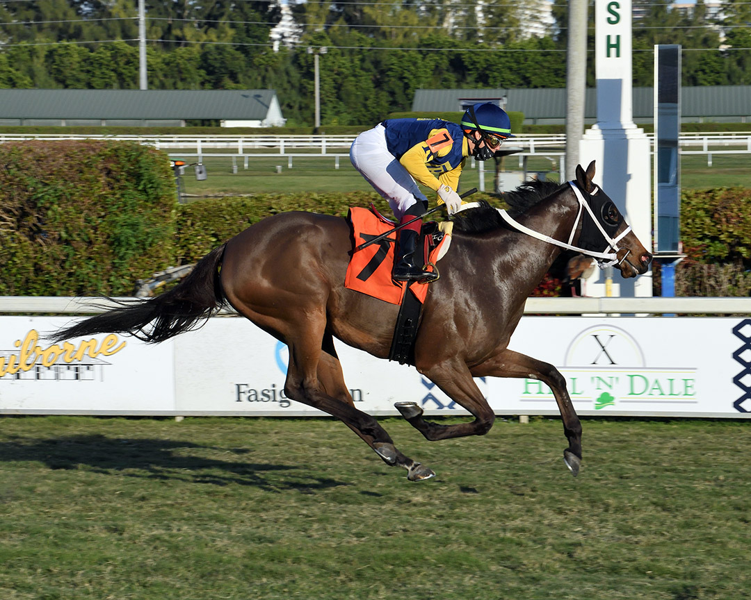 Richies Great Girl wins a January 2021 allowance race at Gulfstream Park