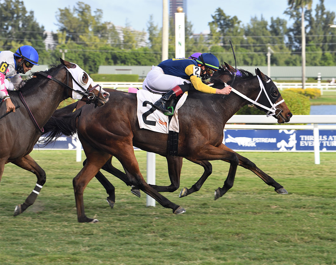 Richies Great Girl (2) wins an Dec. 24 allowance at Gulfstream Park