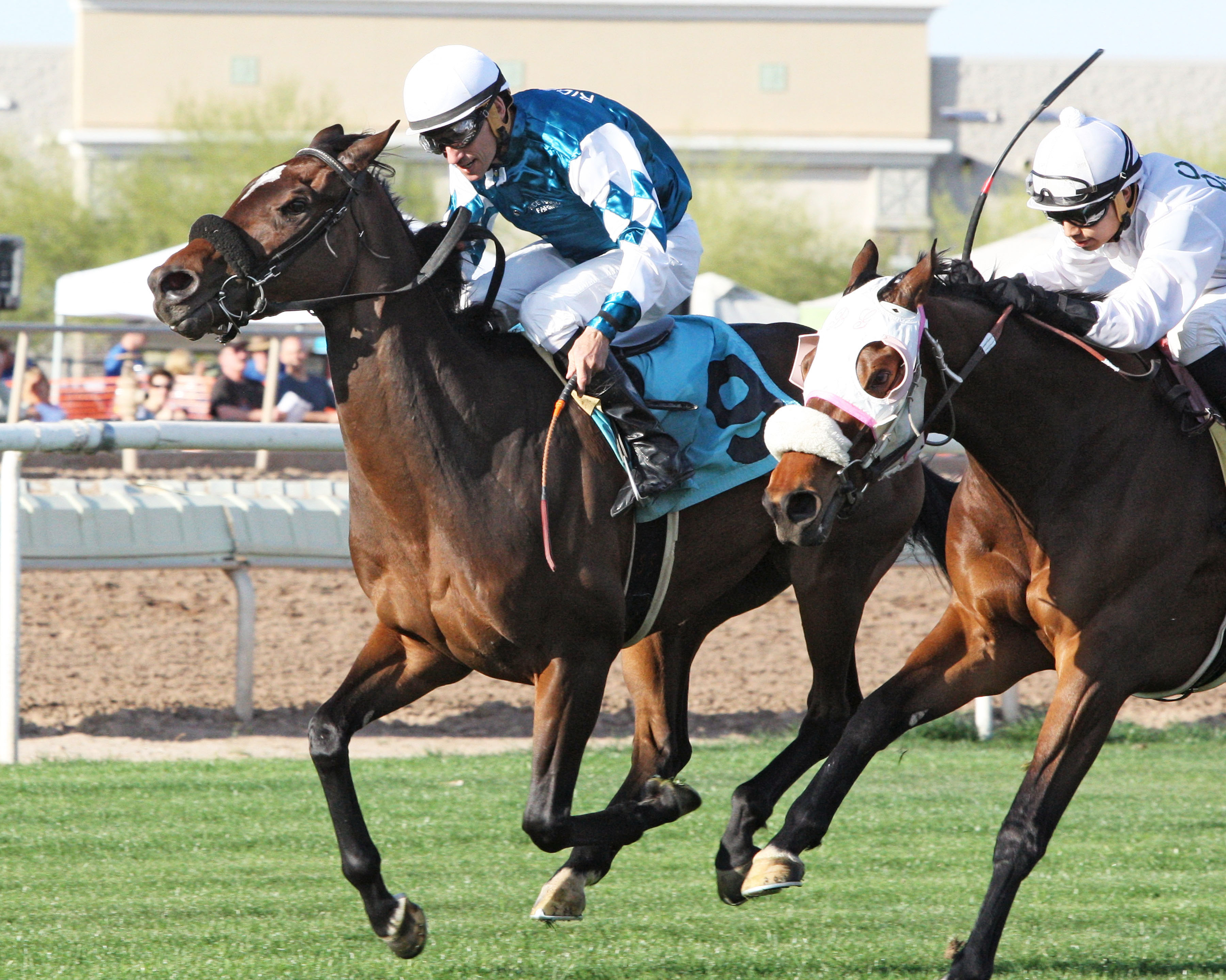 Ride Hard Kowboy wins the Tempe Handicap