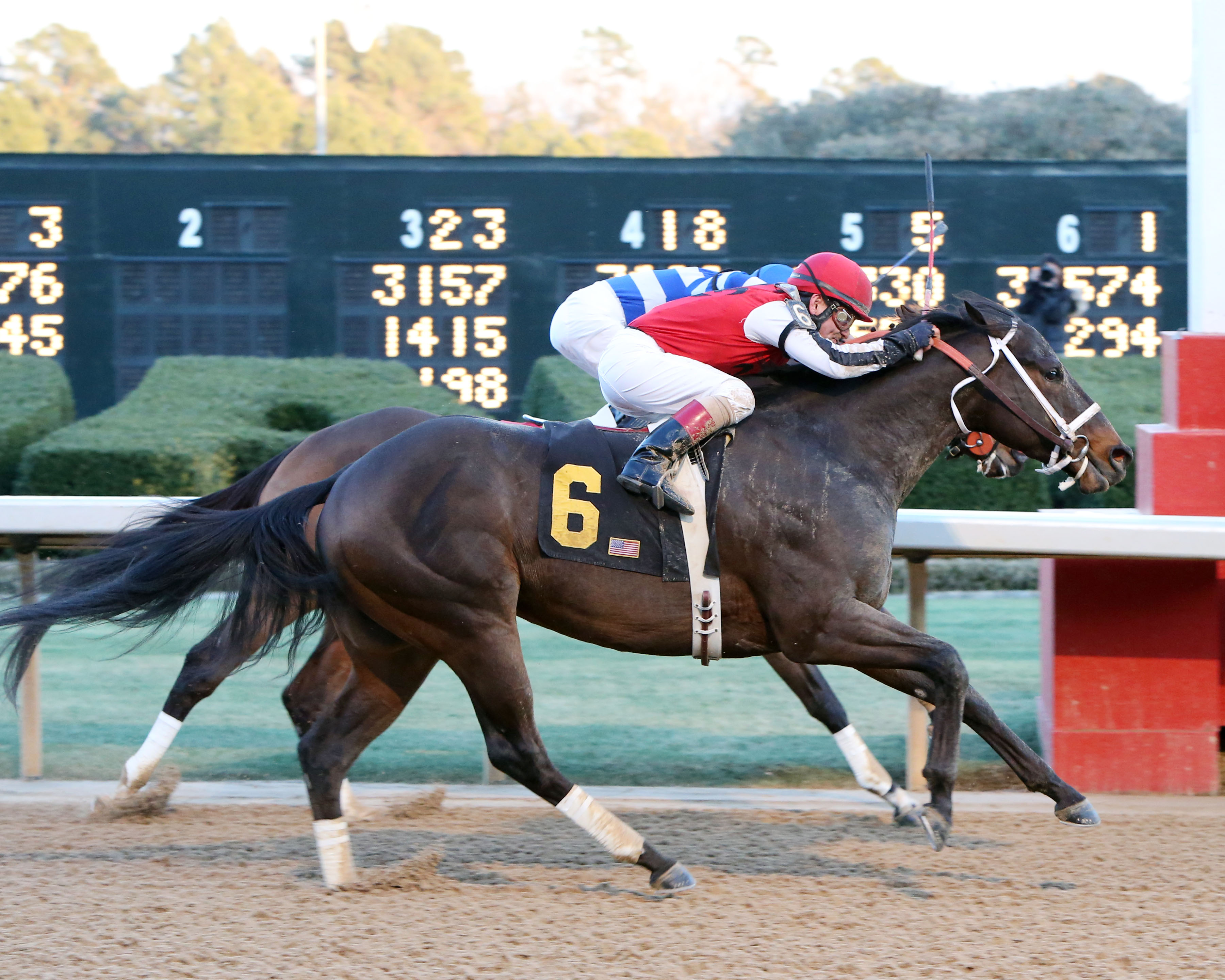 Ride On Curlin
