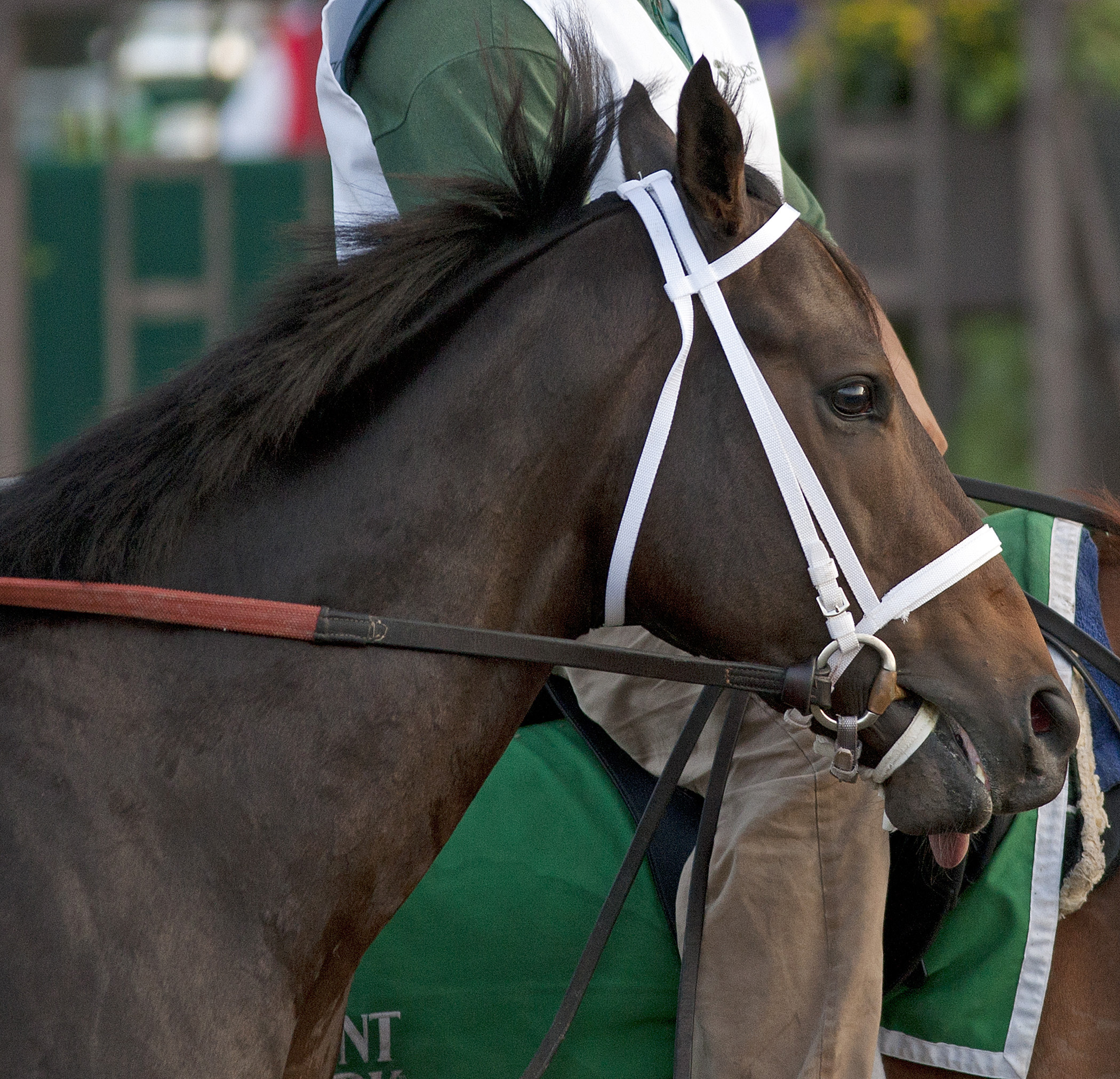 Ride On Curlin