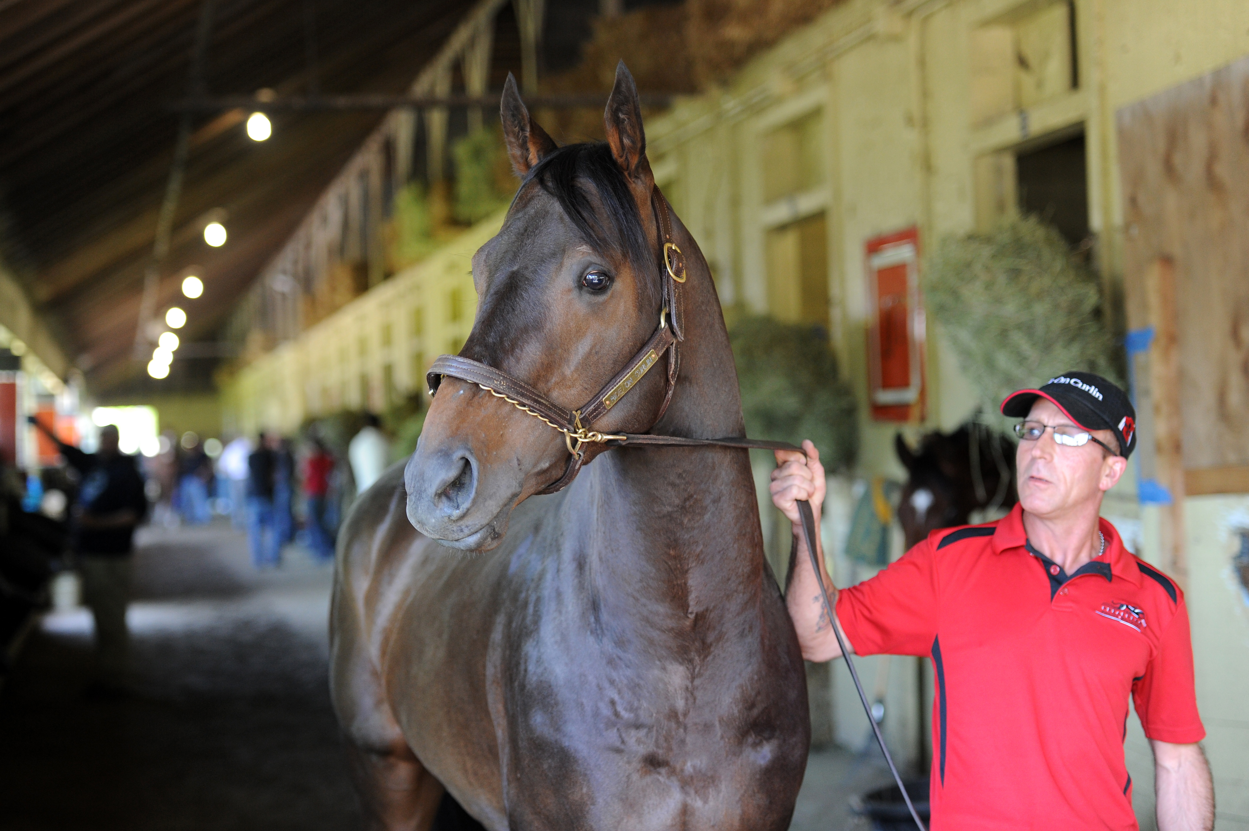 Ride On Curlin arrives at Belmont