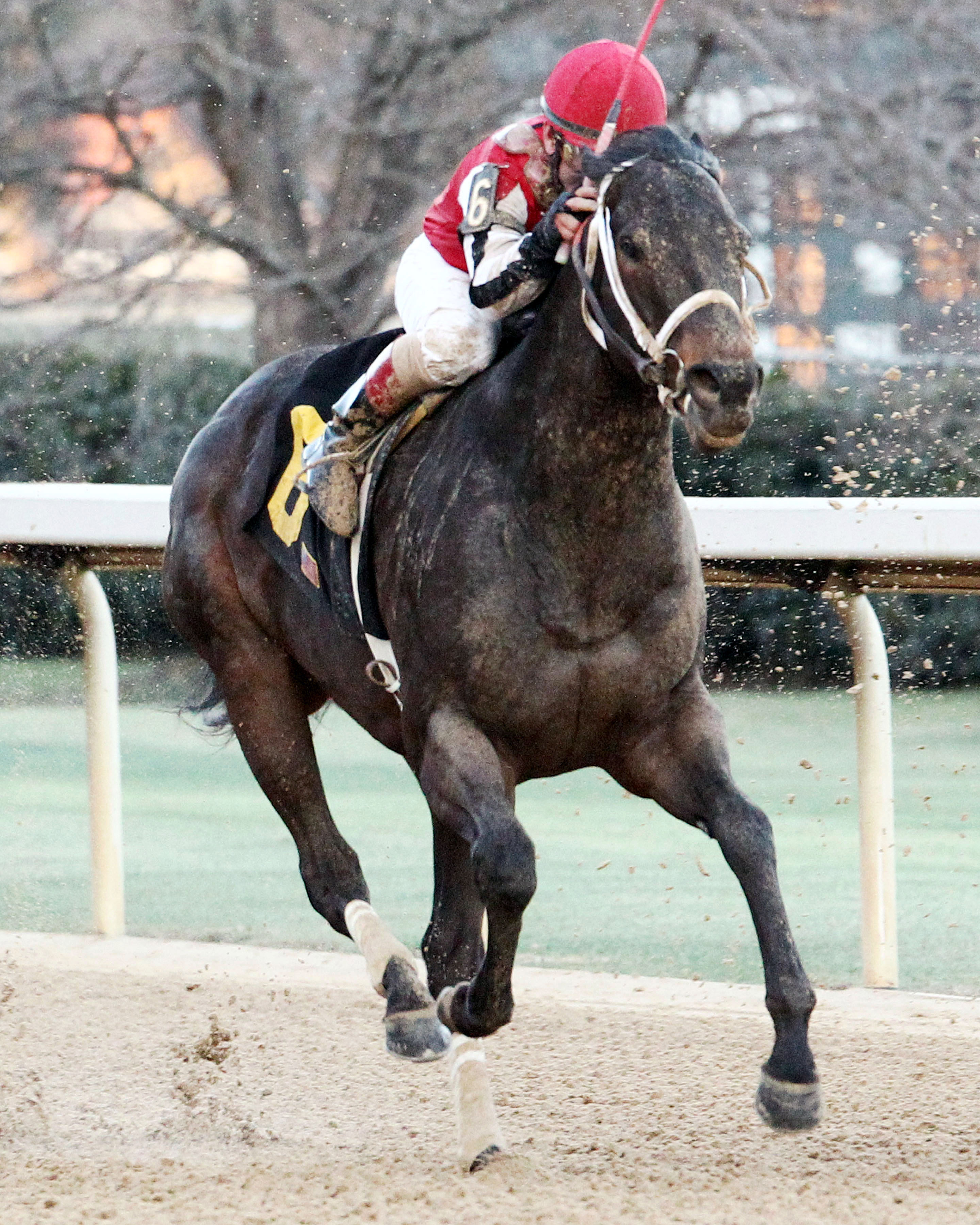 Ride on Curlin wins an allowance