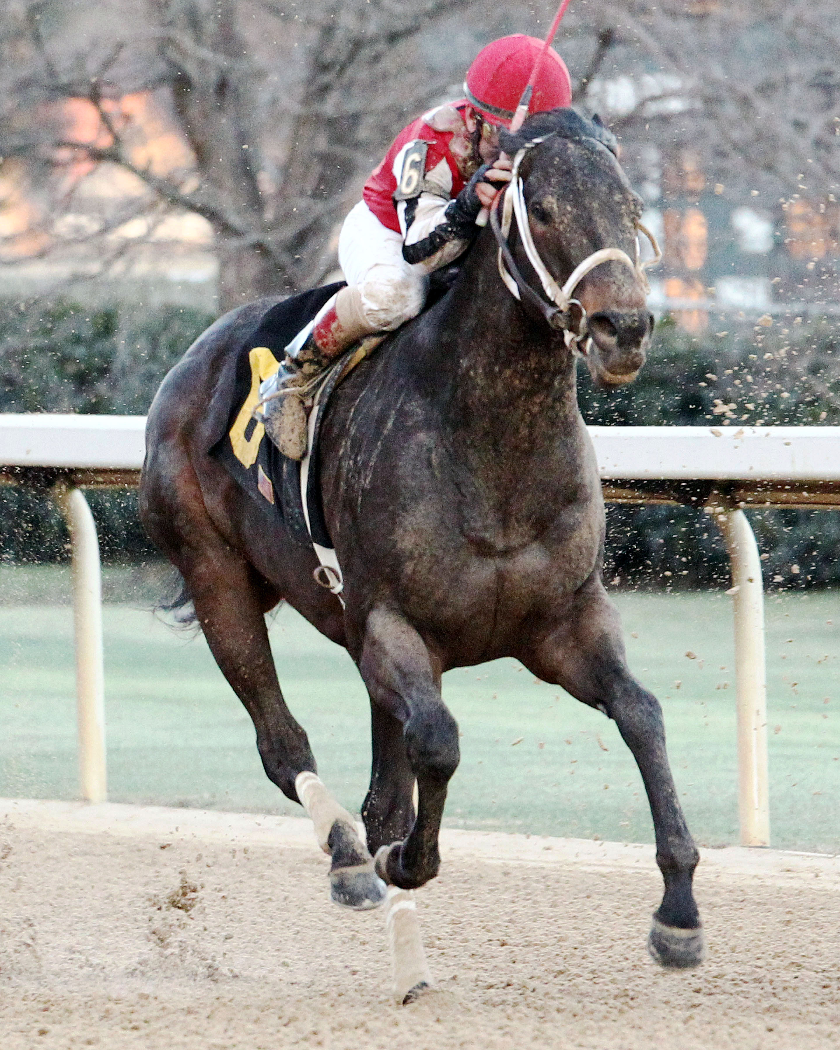 Ride on Curlin wins an allowance