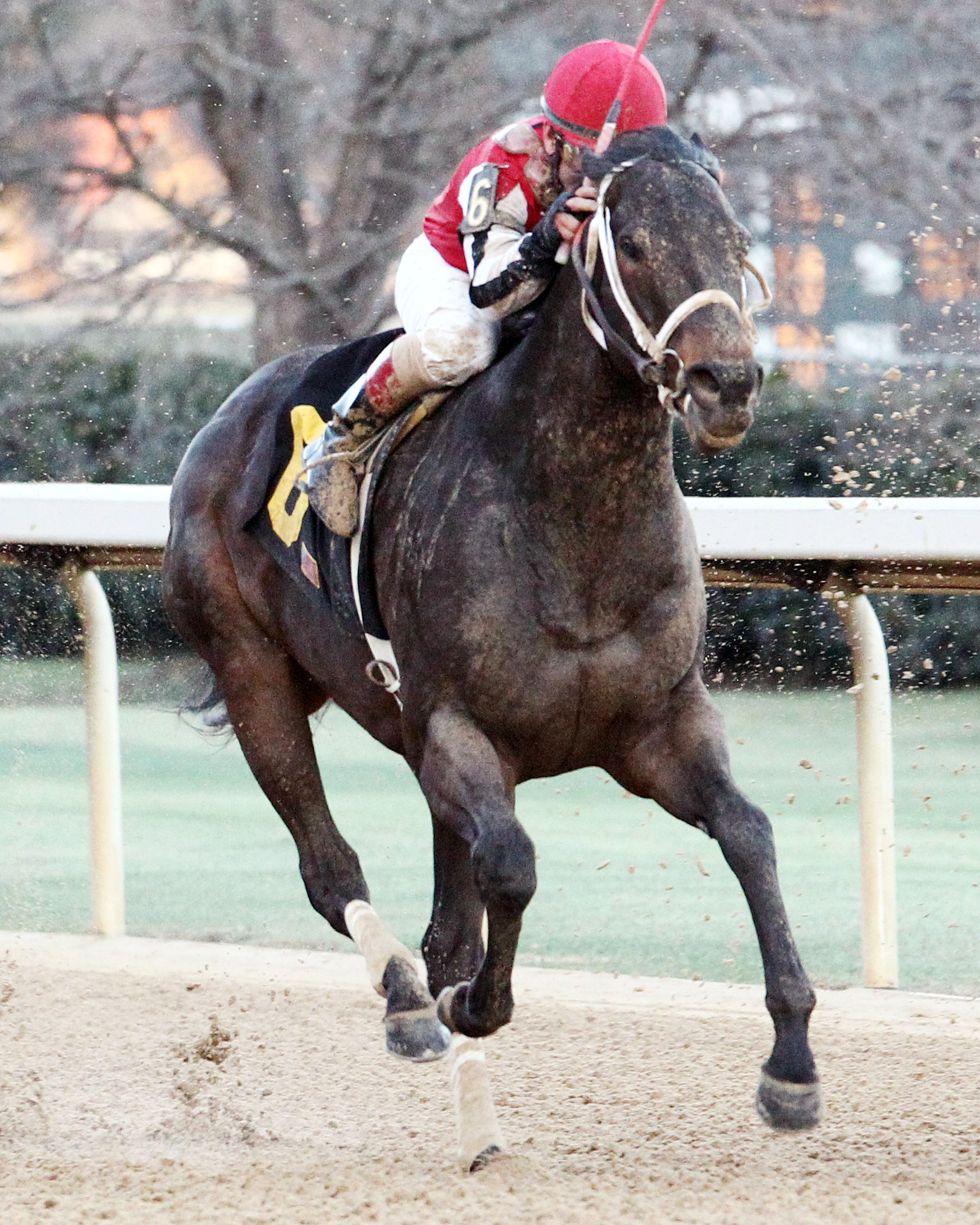 Ride On Curlin wins an optional claimer