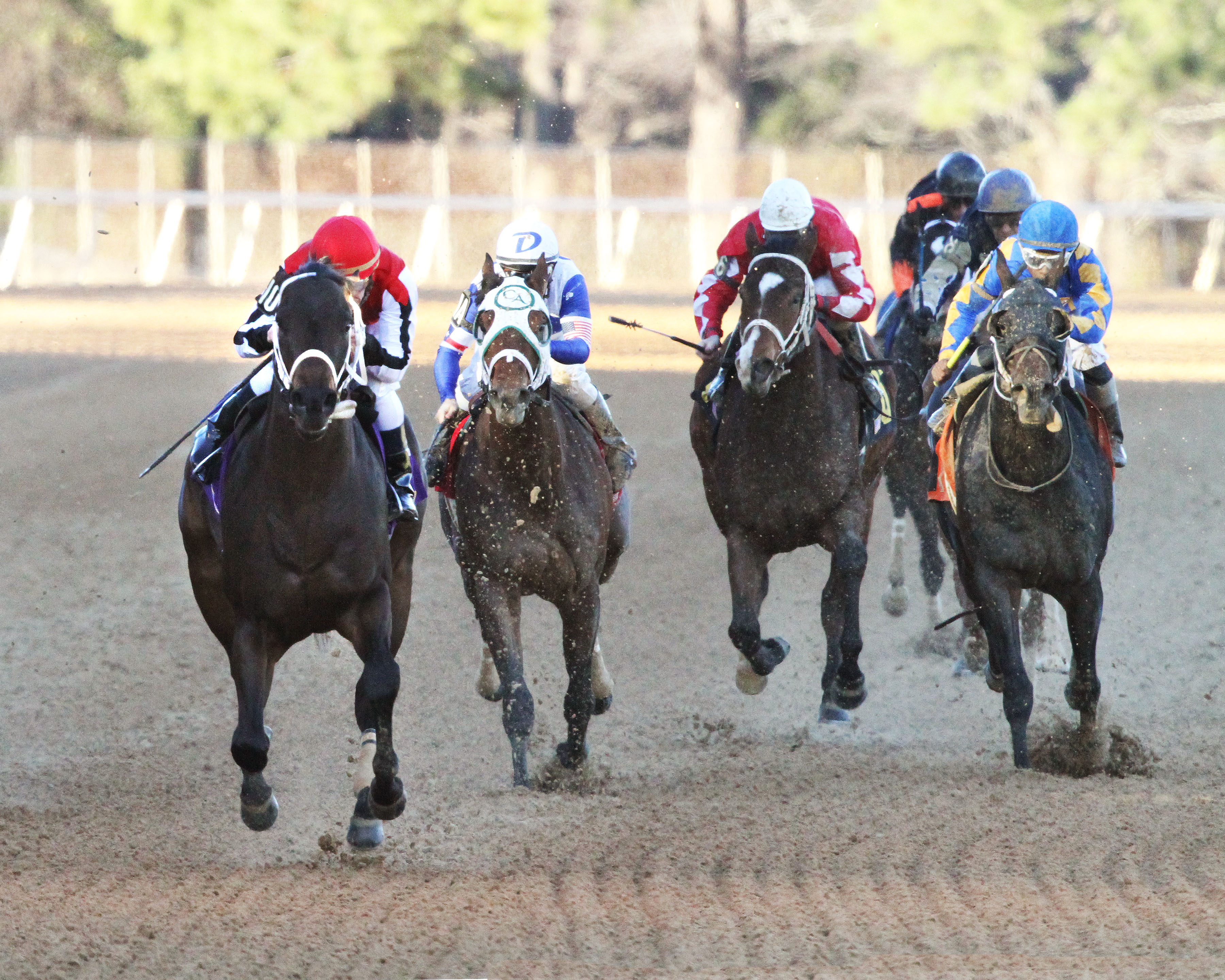 Ride on Curlin wins an allowance