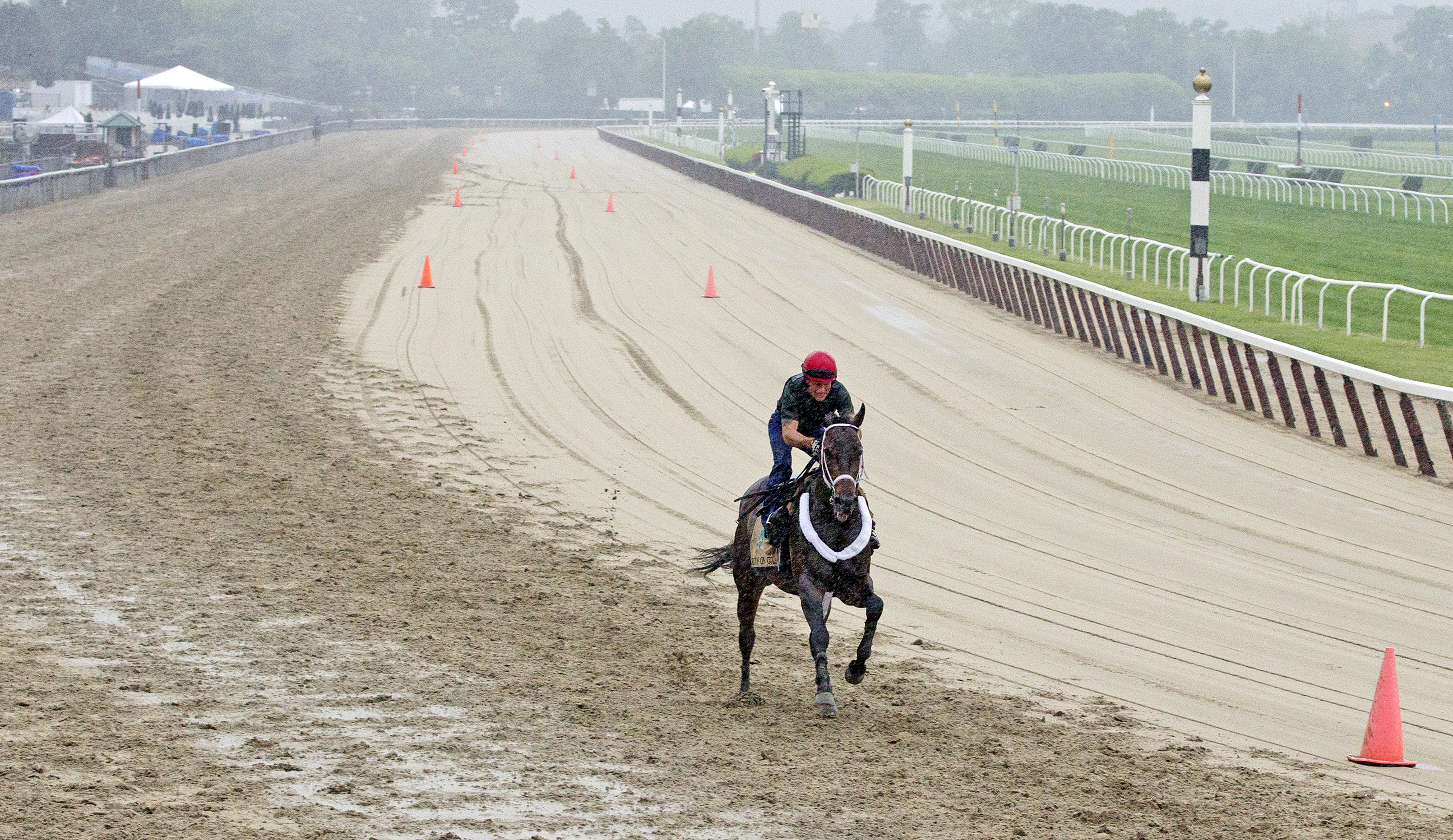 Ride On Curlin at Belmont on June 5
