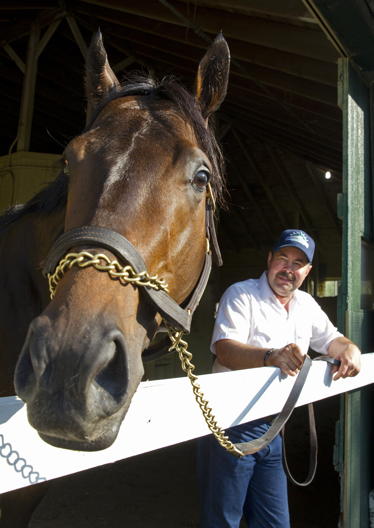 Ride On Curlin