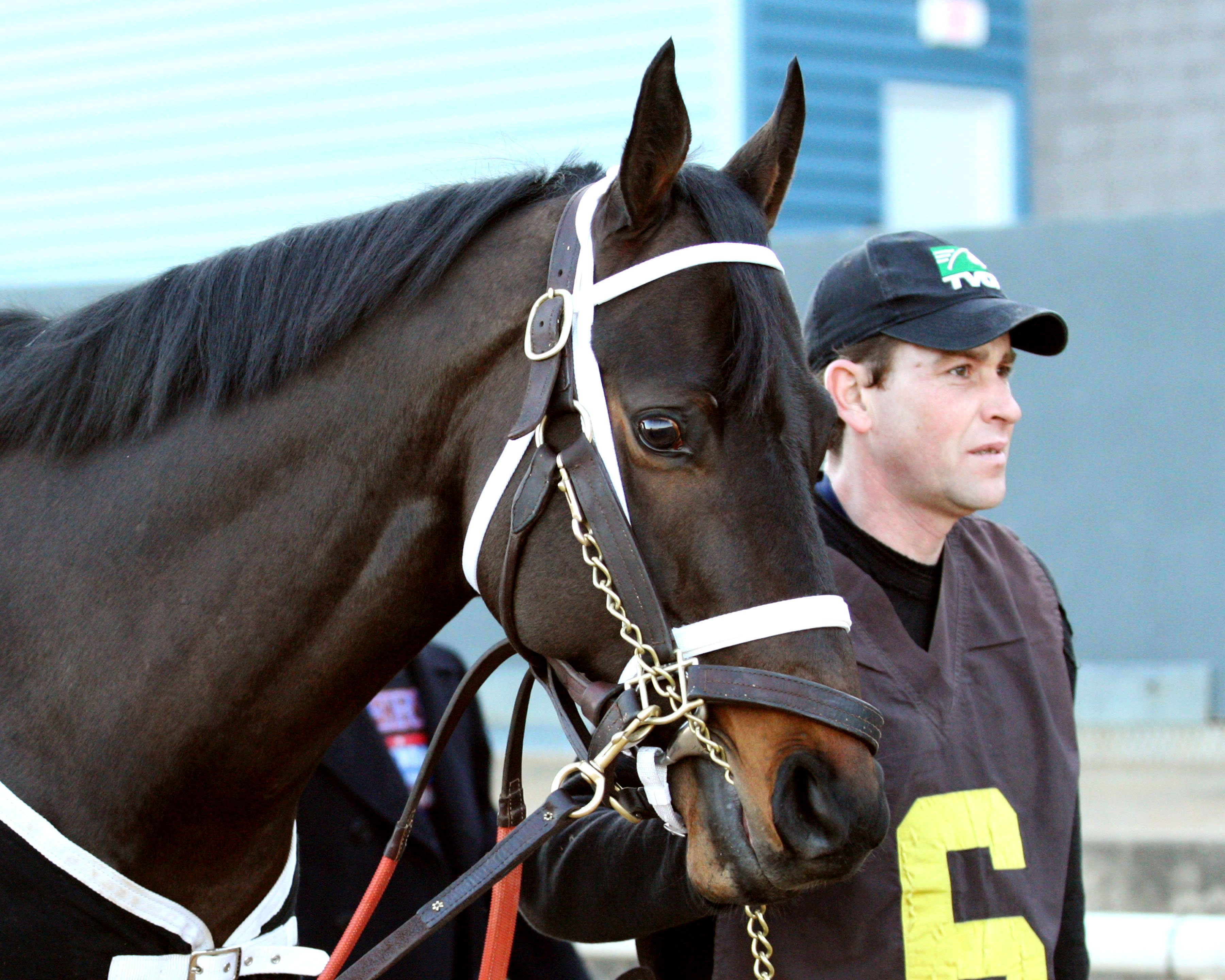 Ride On Curlin