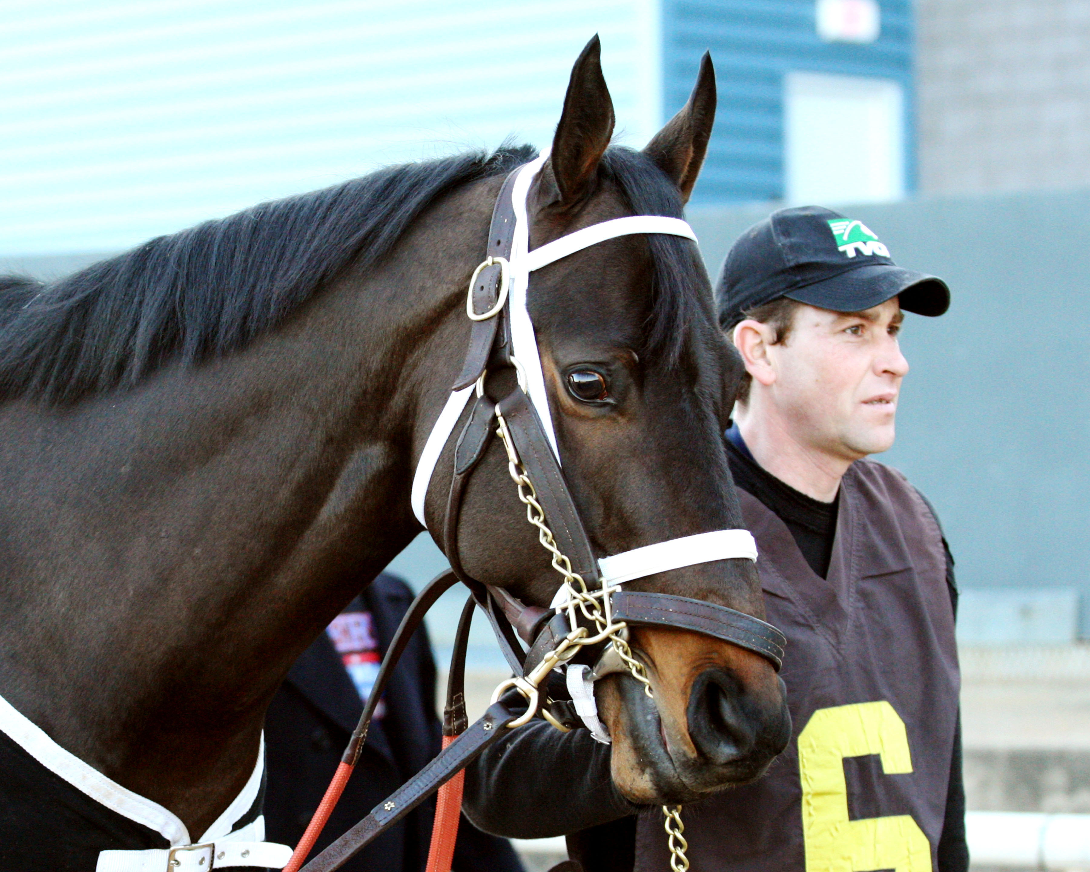 Ride On Curlin