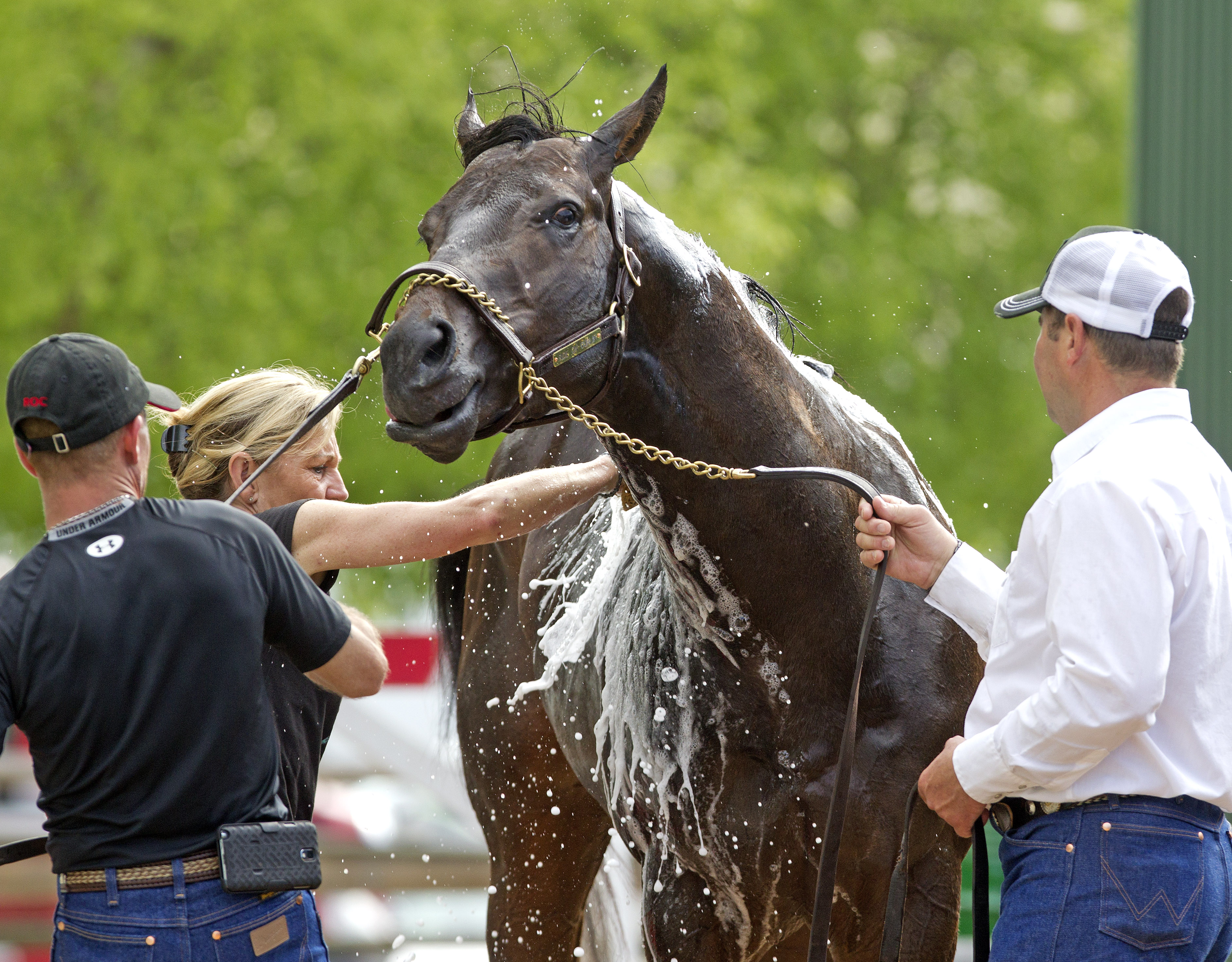 Ride On Curlin