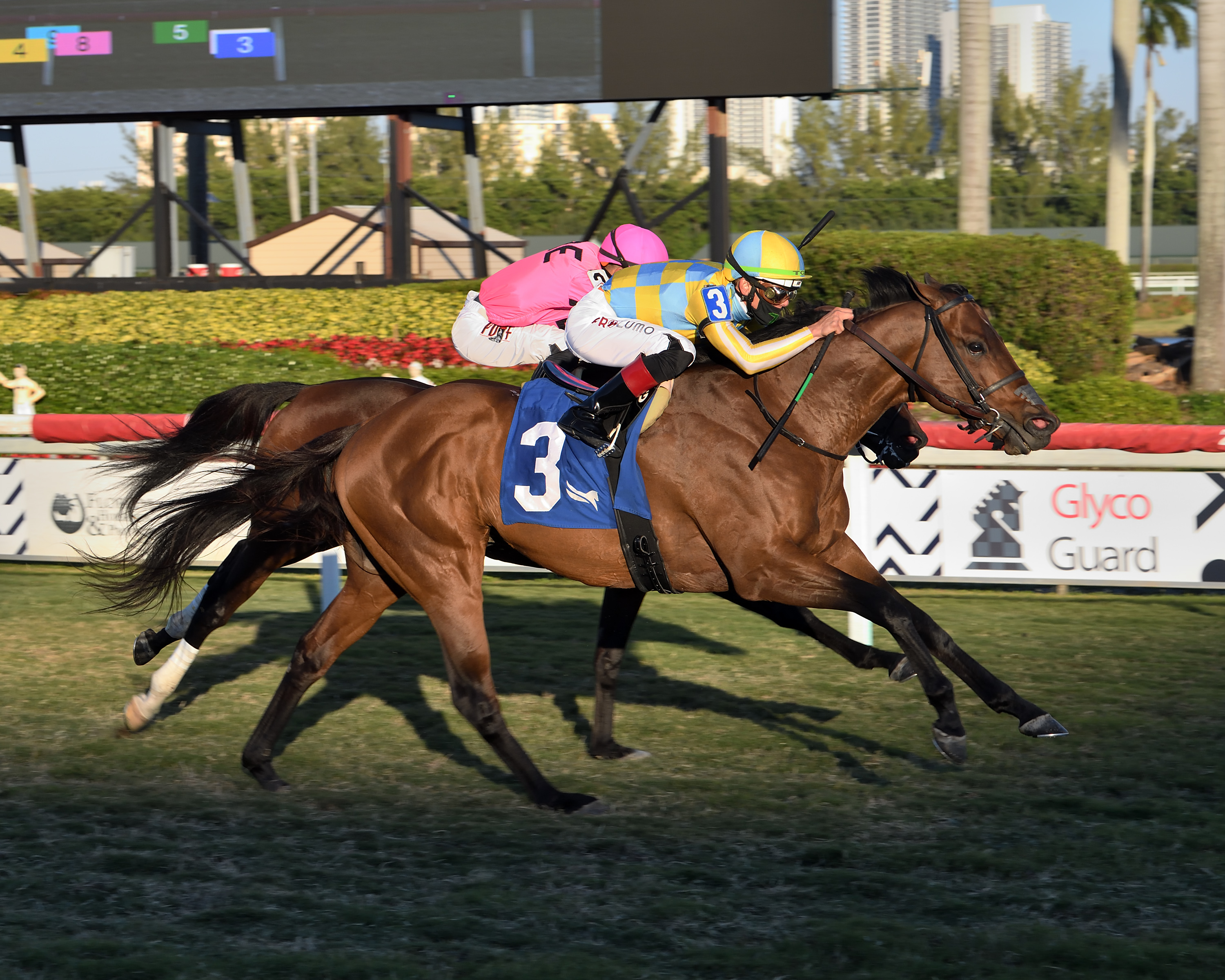Ride a Comet wins the Tropical Turf 1-9-2021