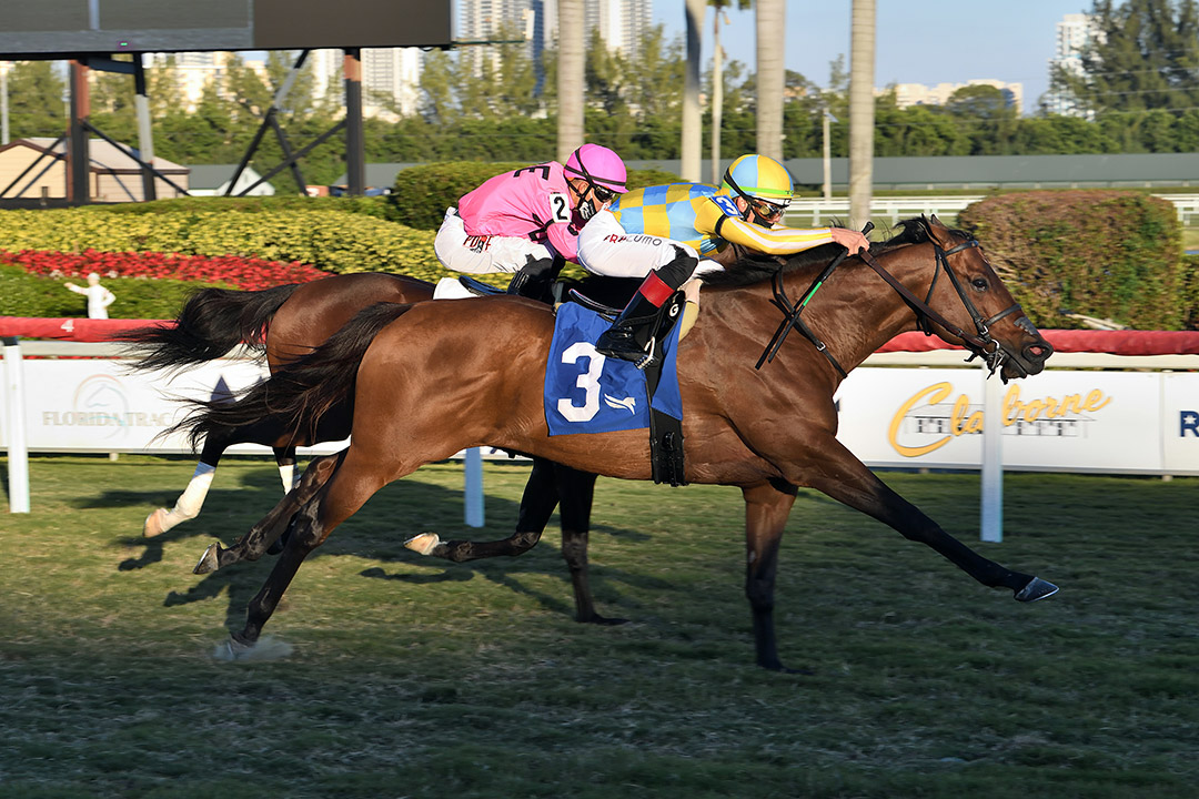 Ride a Comet wins the 2021 Tropical Turf Stakes at Gulfstream