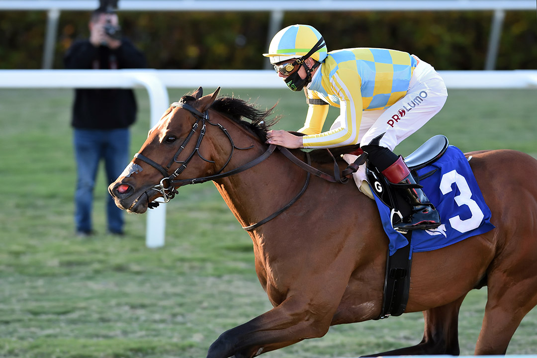 Ride a Comet wins the 2021 Tropical Turf Stakes at Gulfstream