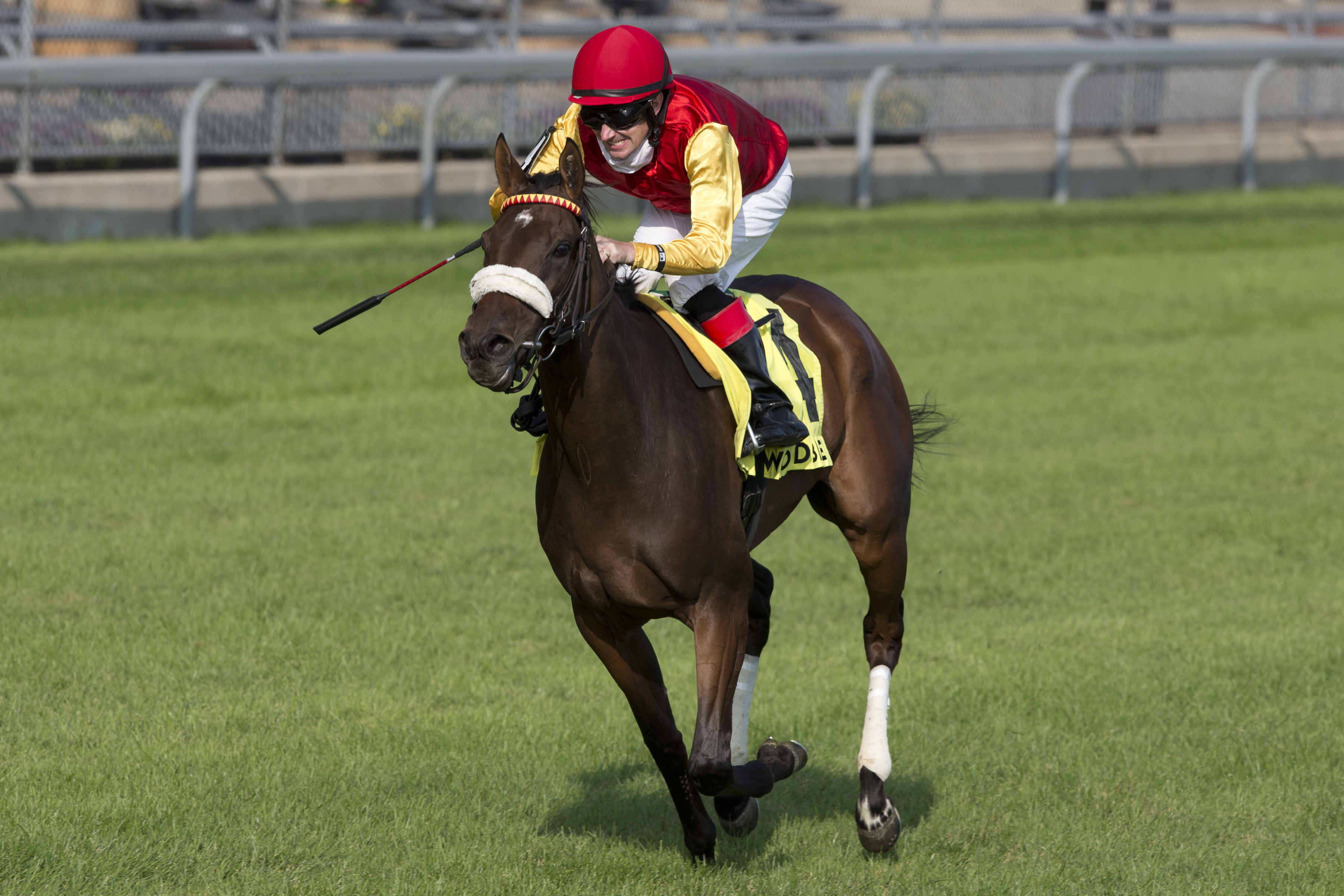 Rideforthecause.Canadian Stakes.9-12-2020