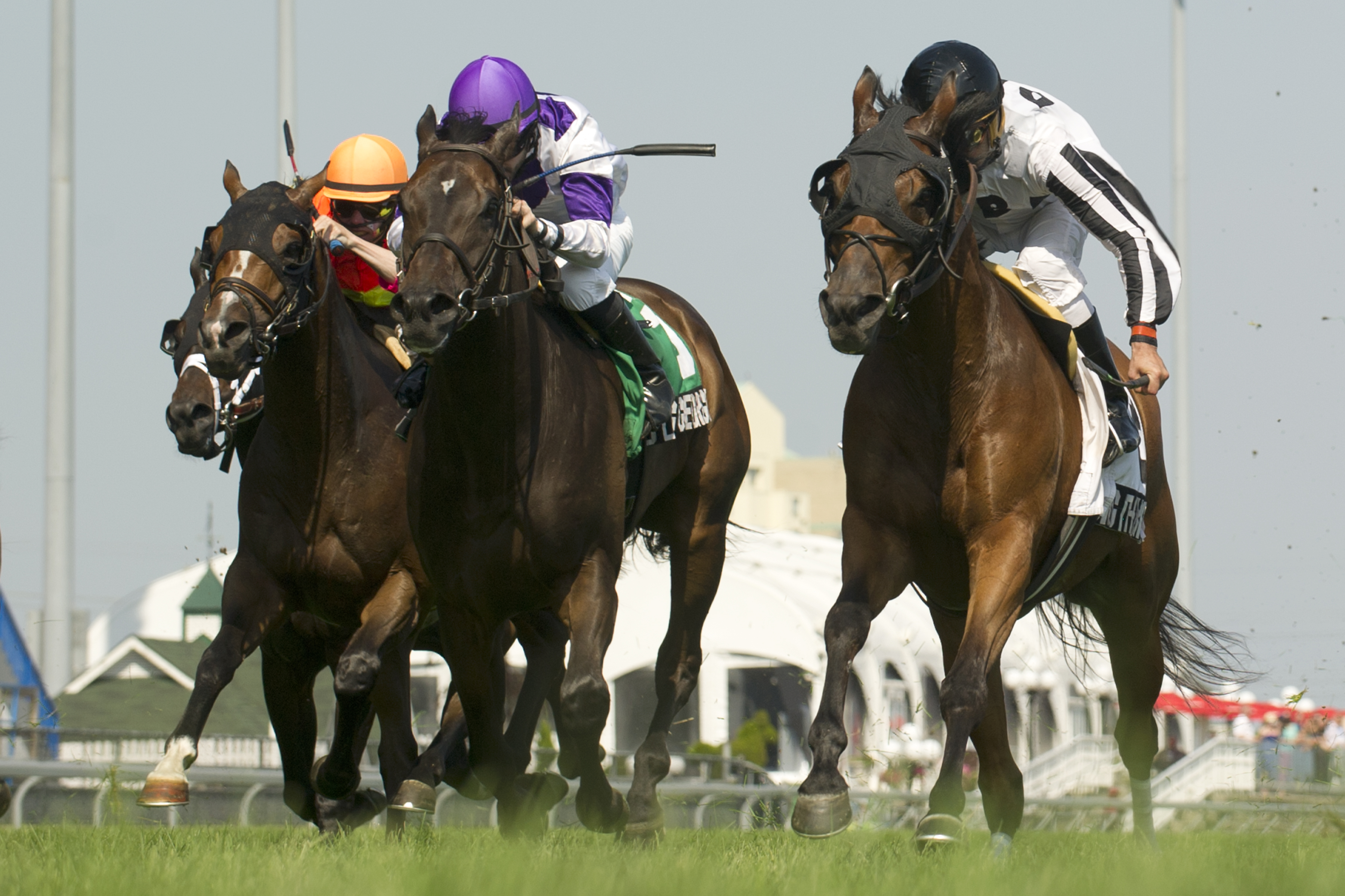 Riding the River, King Edward Stakes