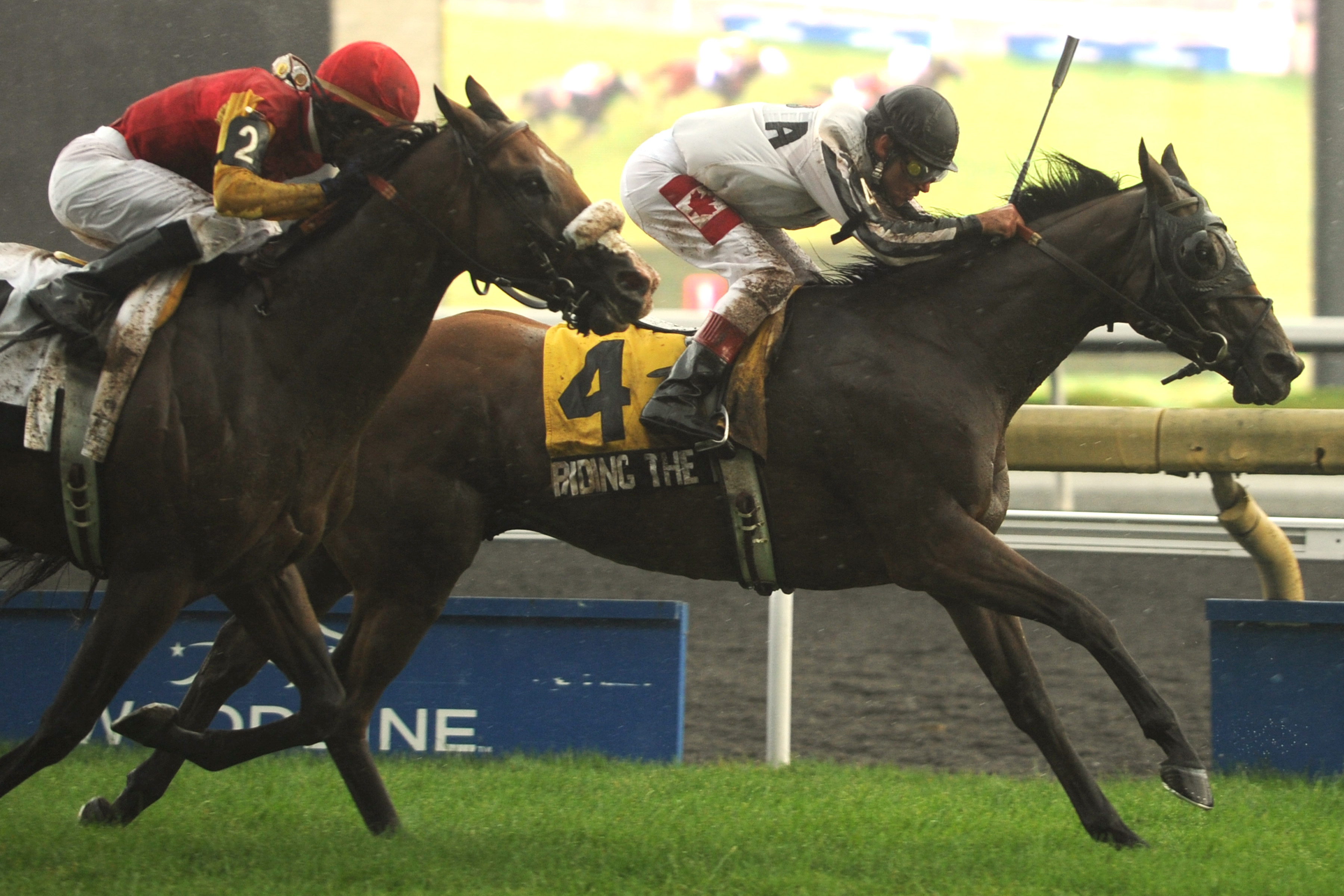 Riding the River/Nijinsky Stakes
