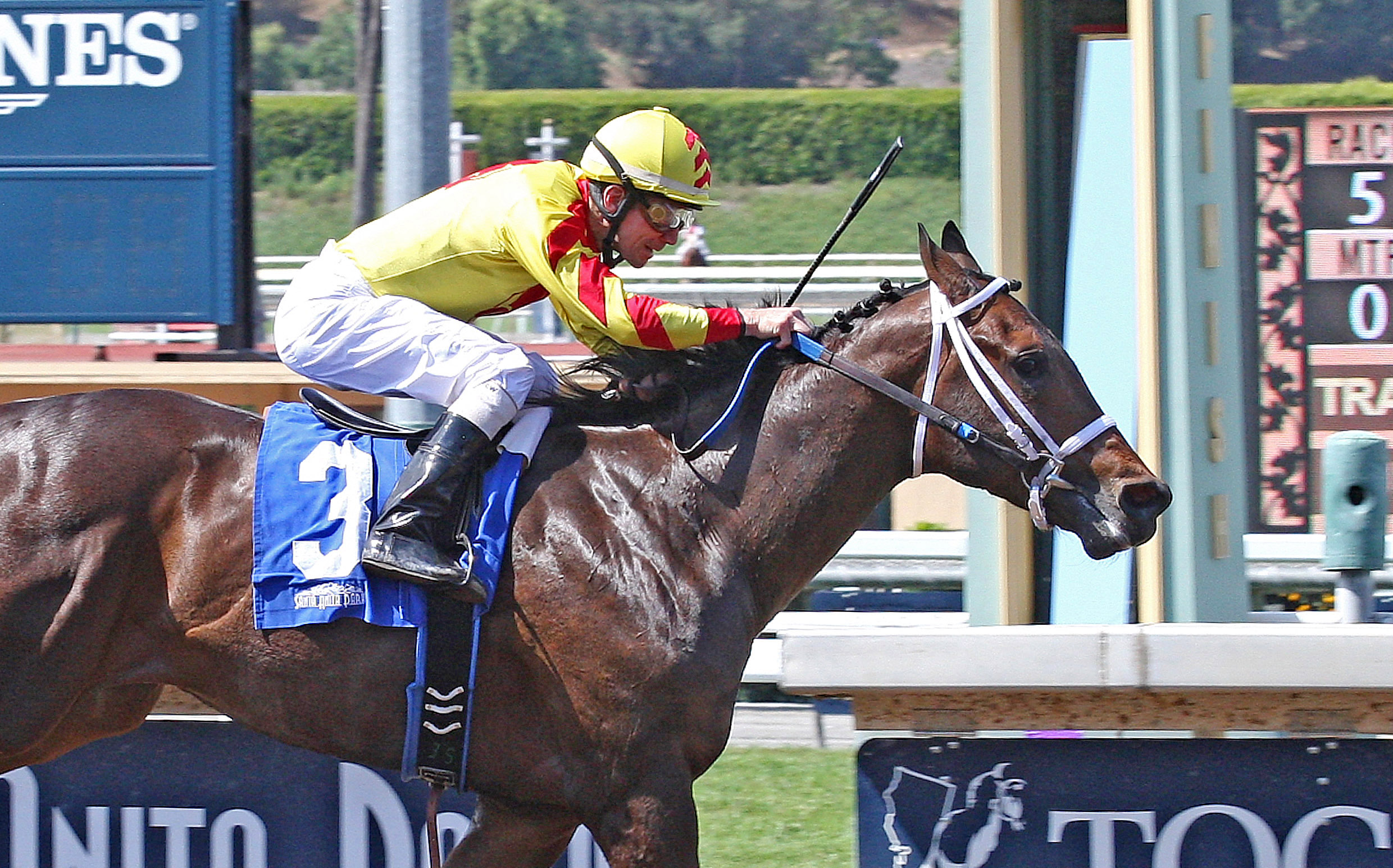 Right Hand Man wins a maiden race