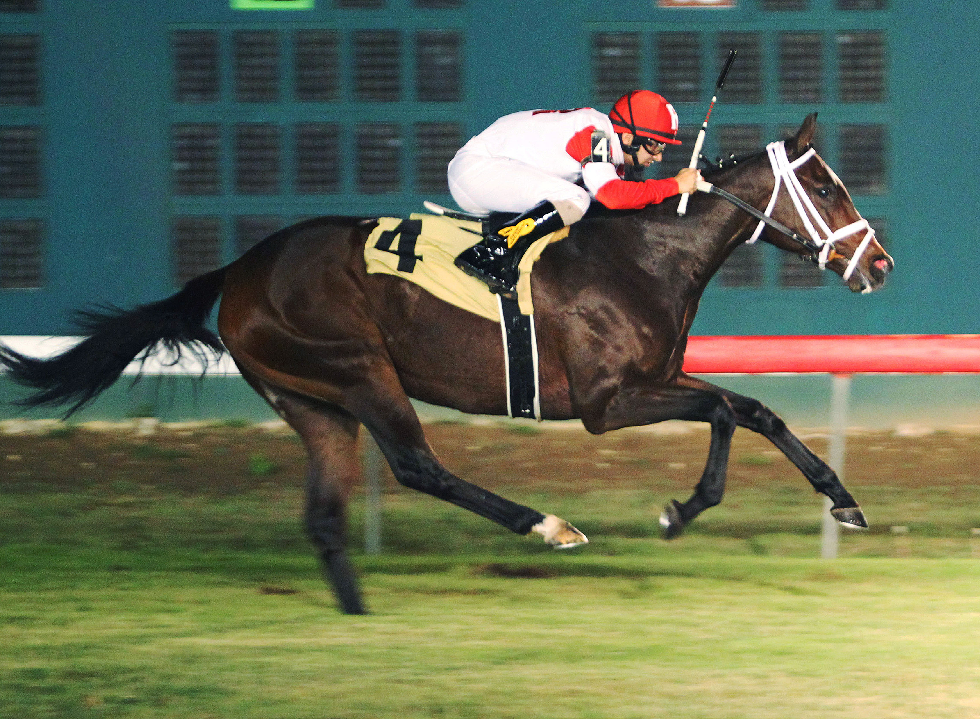 Right On Kitten wins the La Senorita Stakes