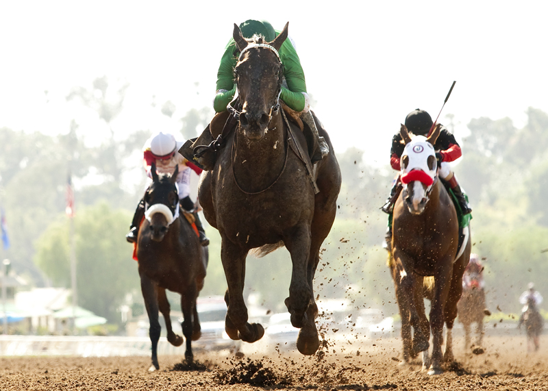 Right There wins 2015 Landaluce