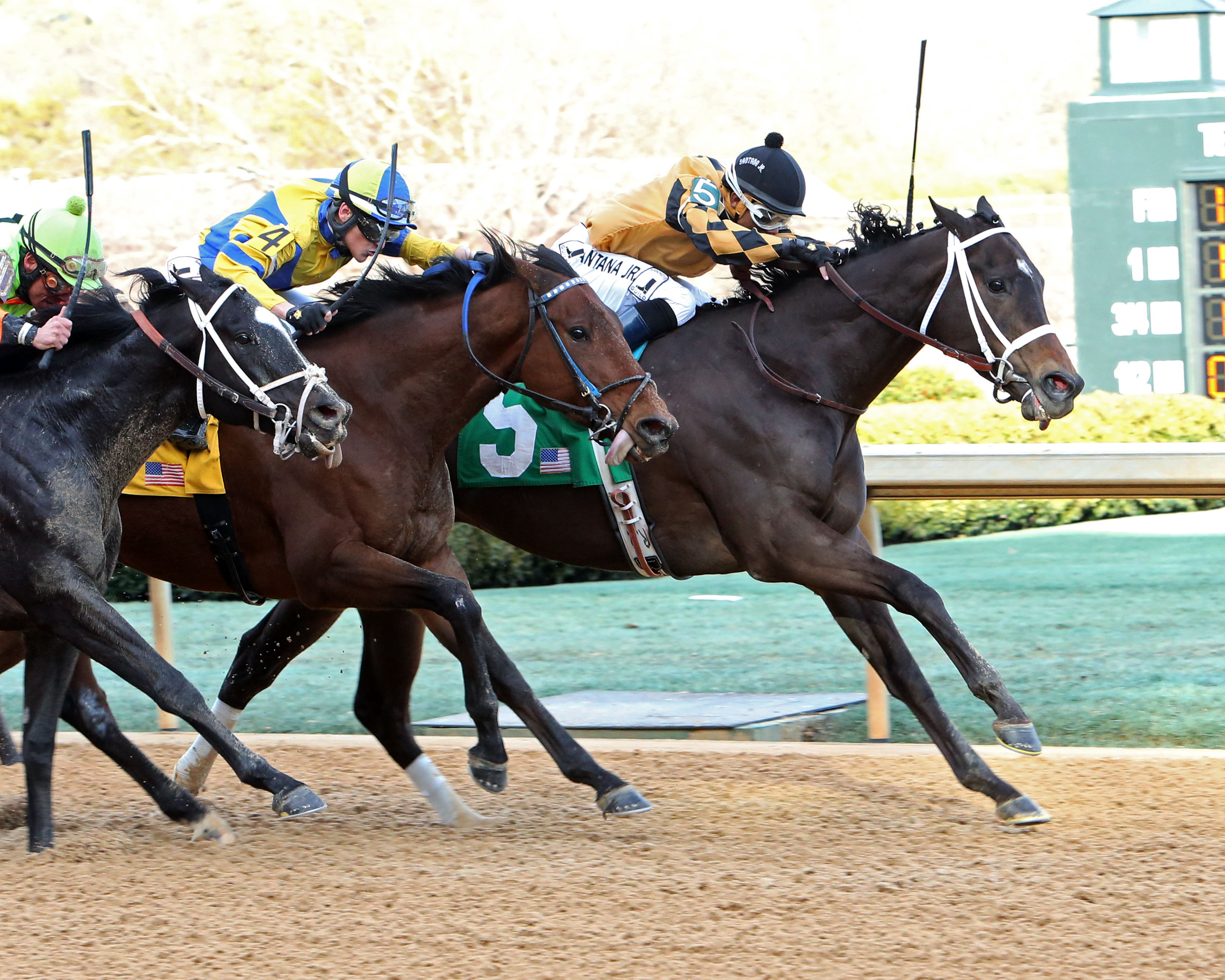 Right to Vote/Essex Handicap