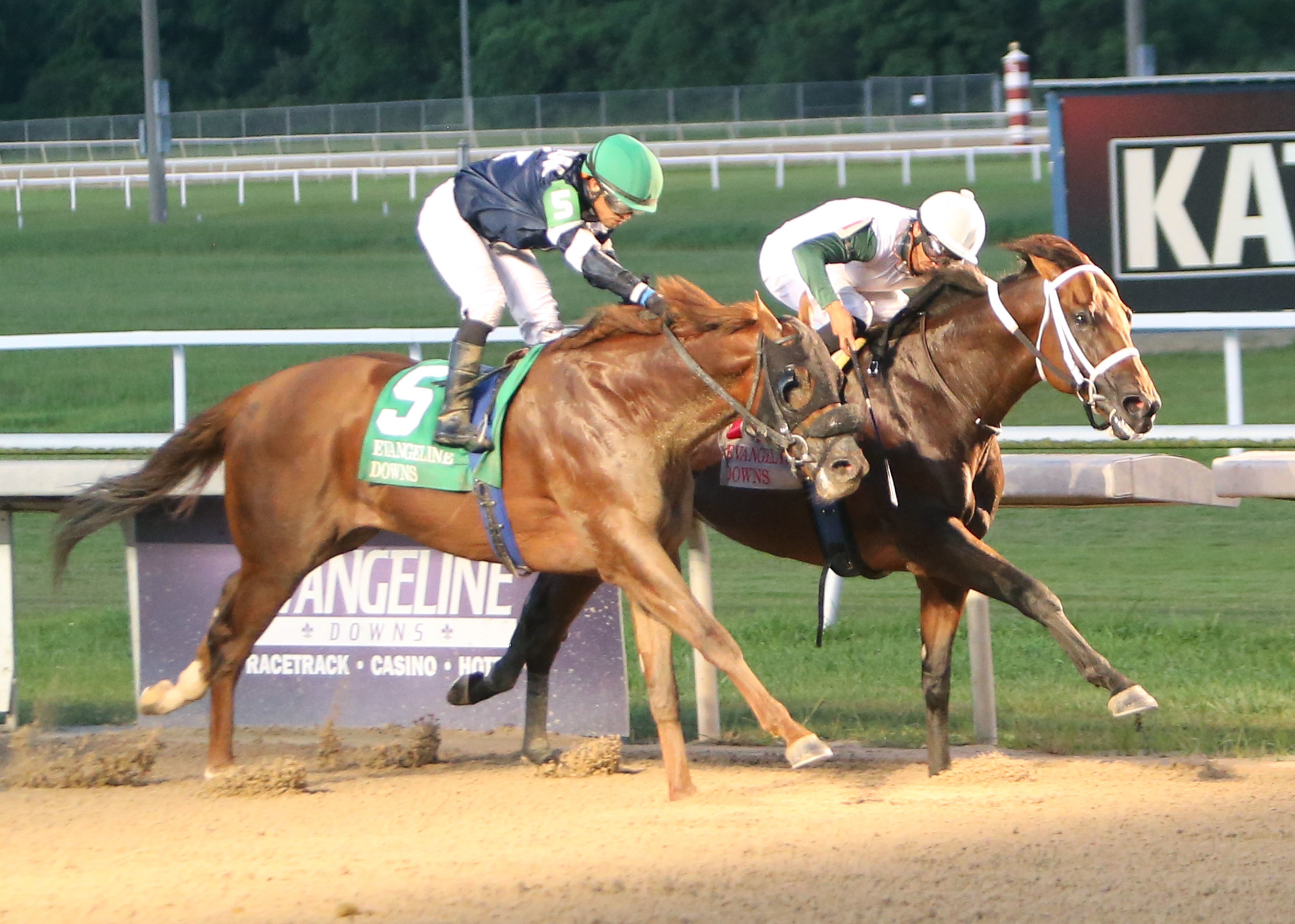 Rightandjust (inside) beats Strong Eagle in the John Henry at Evangeline on July 2 2022