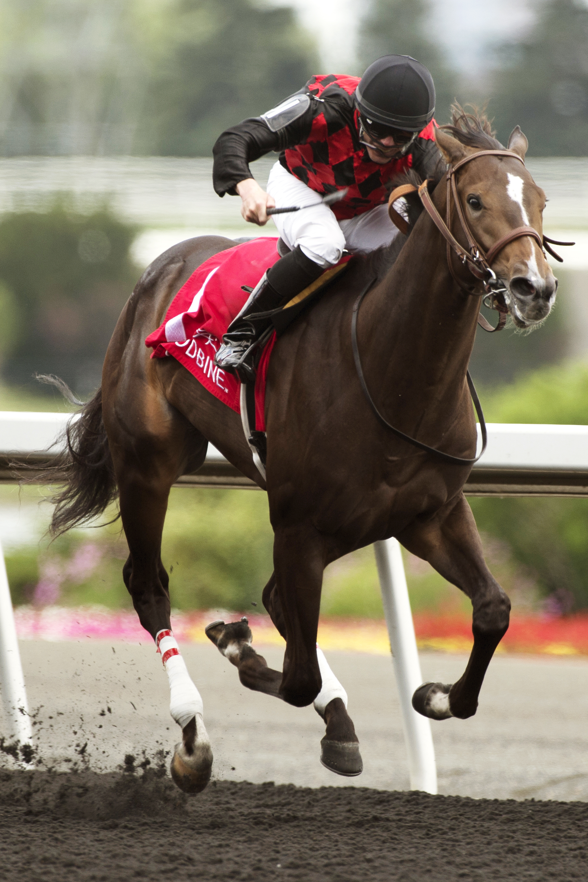 Riker wins the Colin Stakes