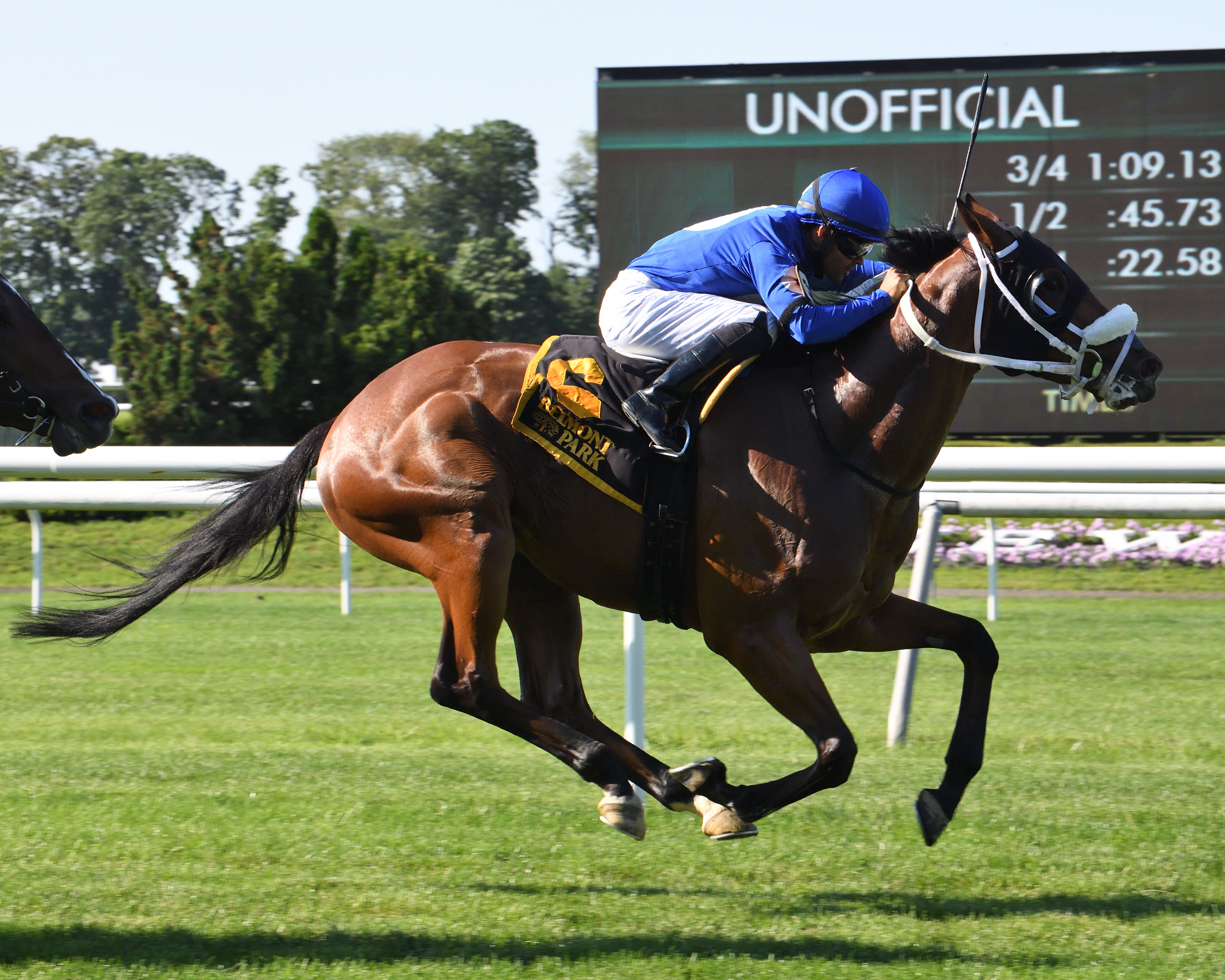 Rinaldi wins the 2019 NYSS Spectacular Bid