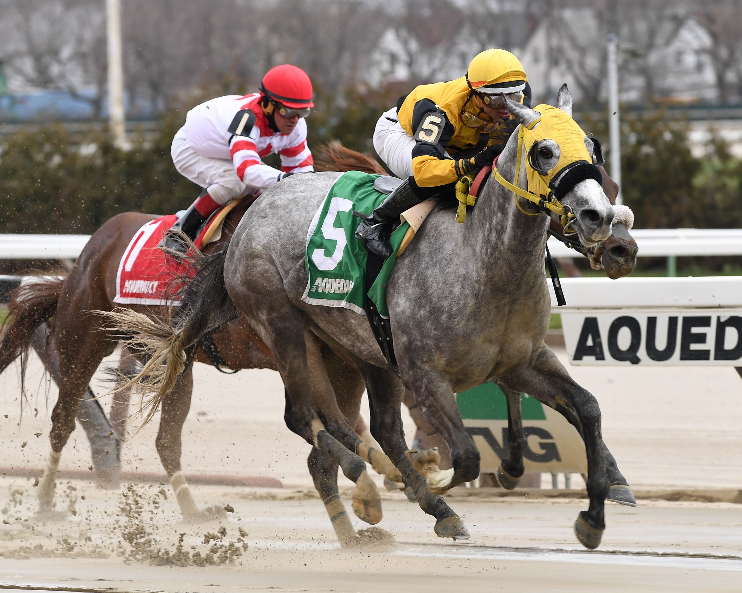 Ring Knocker wins the Xtra Heat Stakes