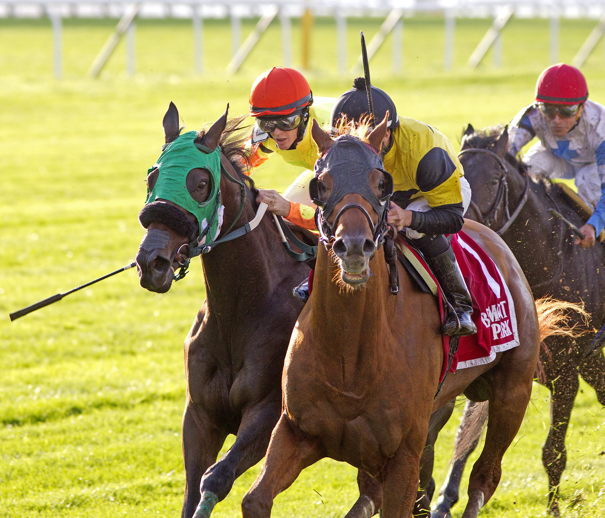 Ring Weekend wins 2014 Hill Prince
