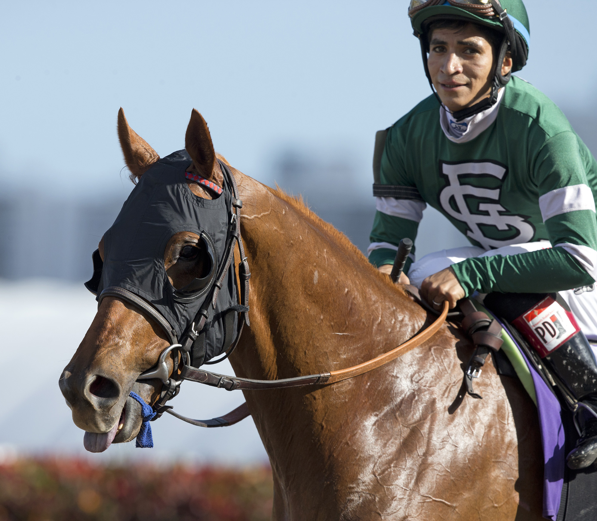 Ring Weekend with Alan Garcia wins a maiden
