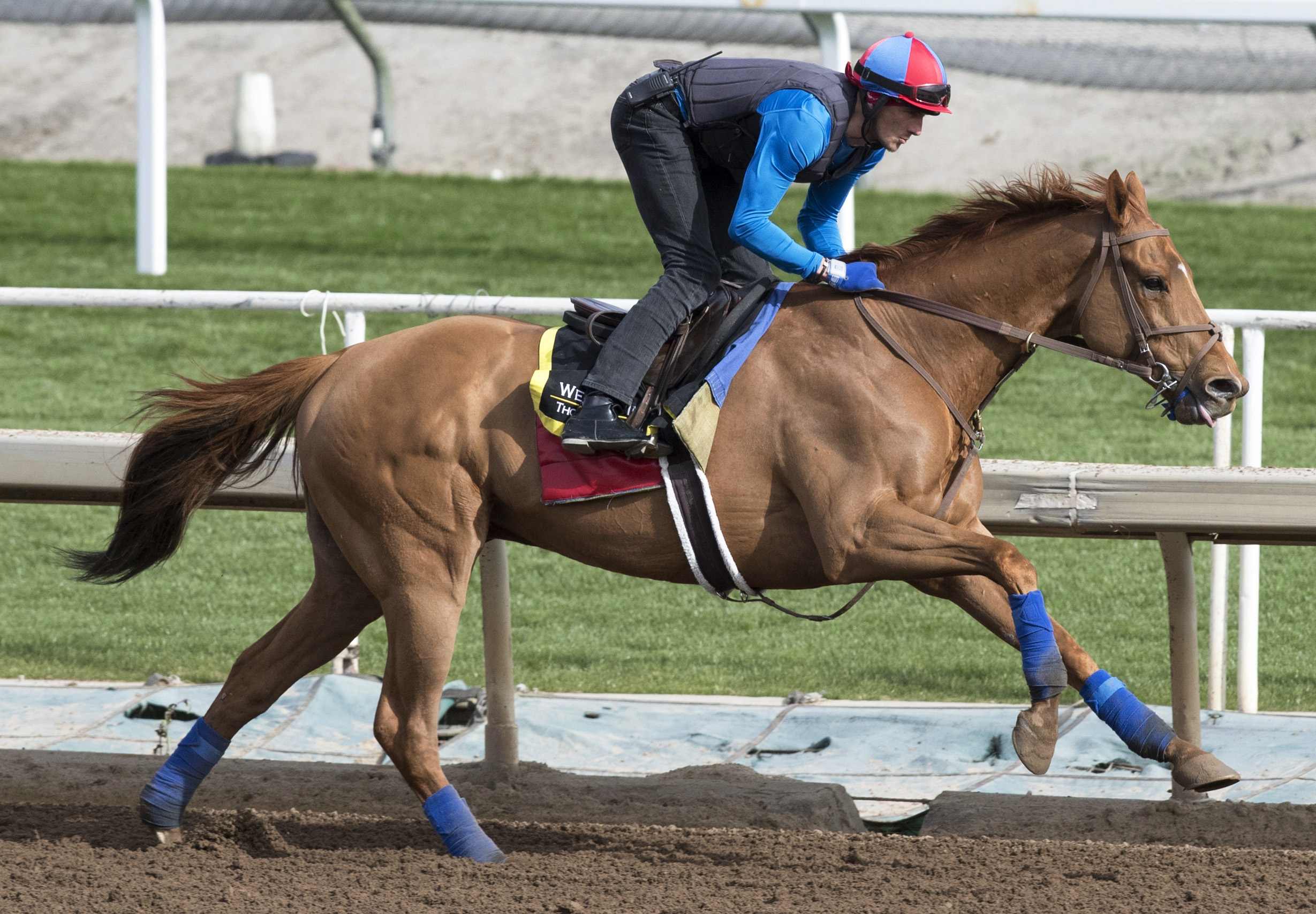Ring Weekend trains at Santa Anita in March 2017