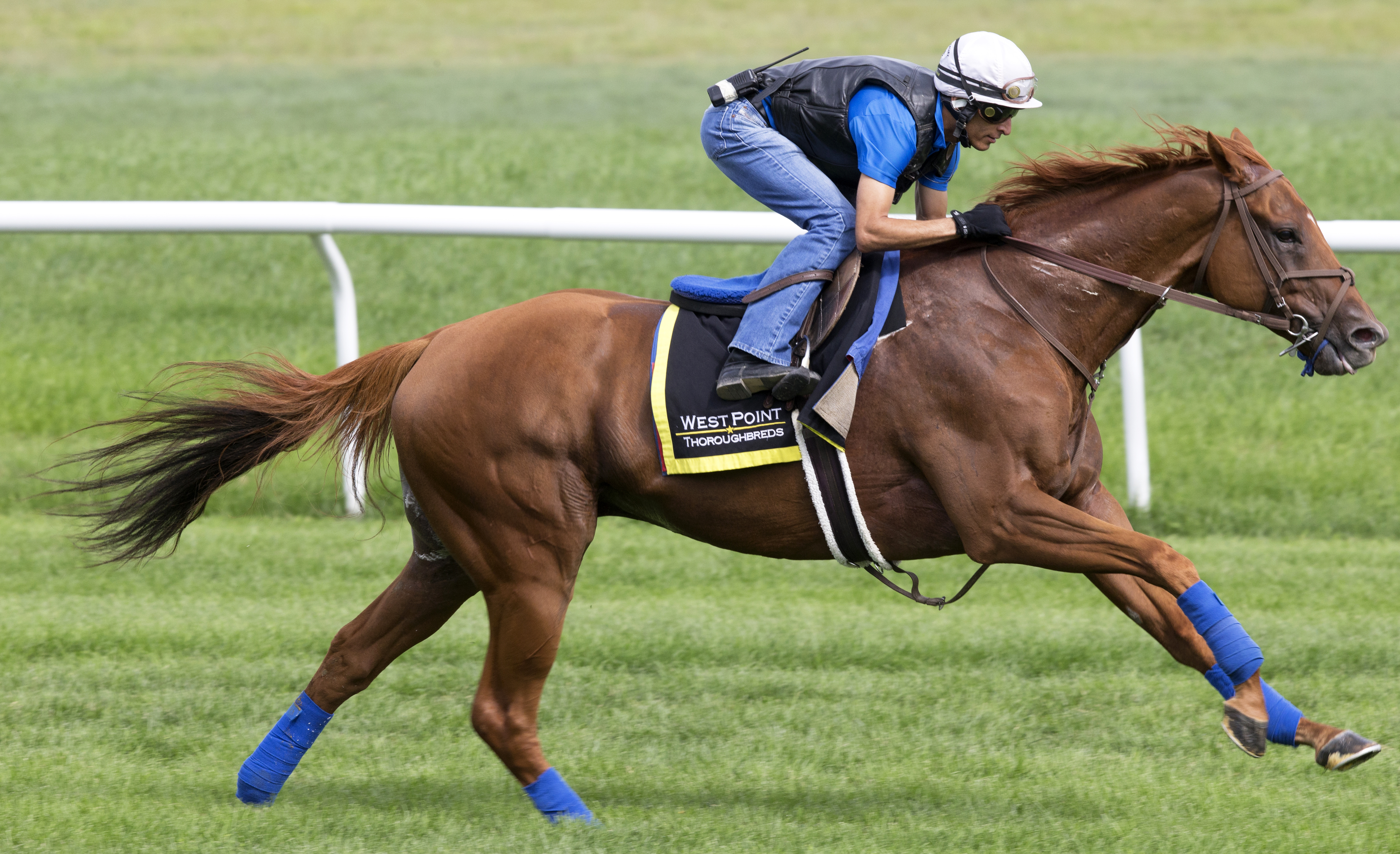 Ring Weekend trains at Saratoga on Aug. 15
