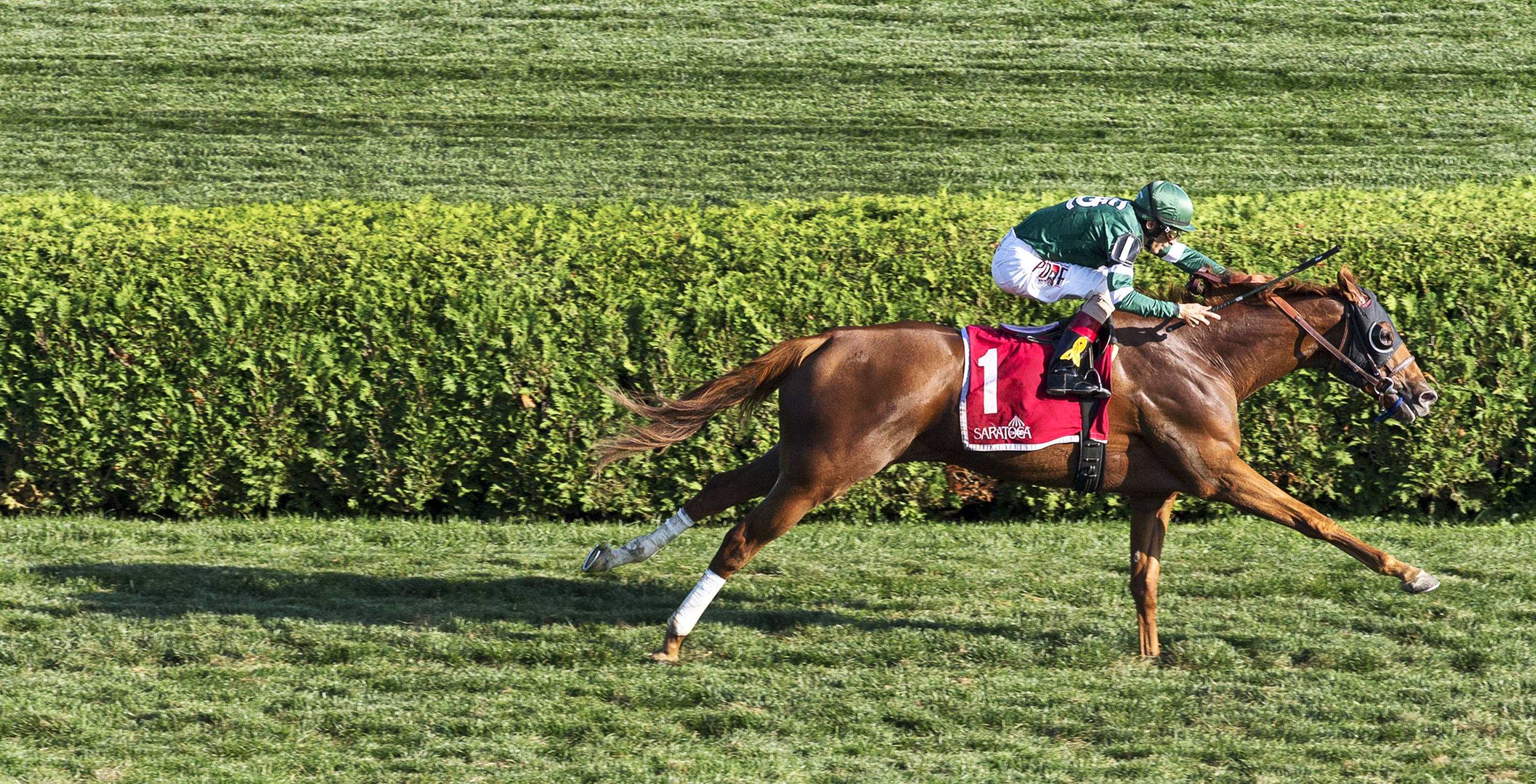 Ring Weekend wins the Saranac Stakes