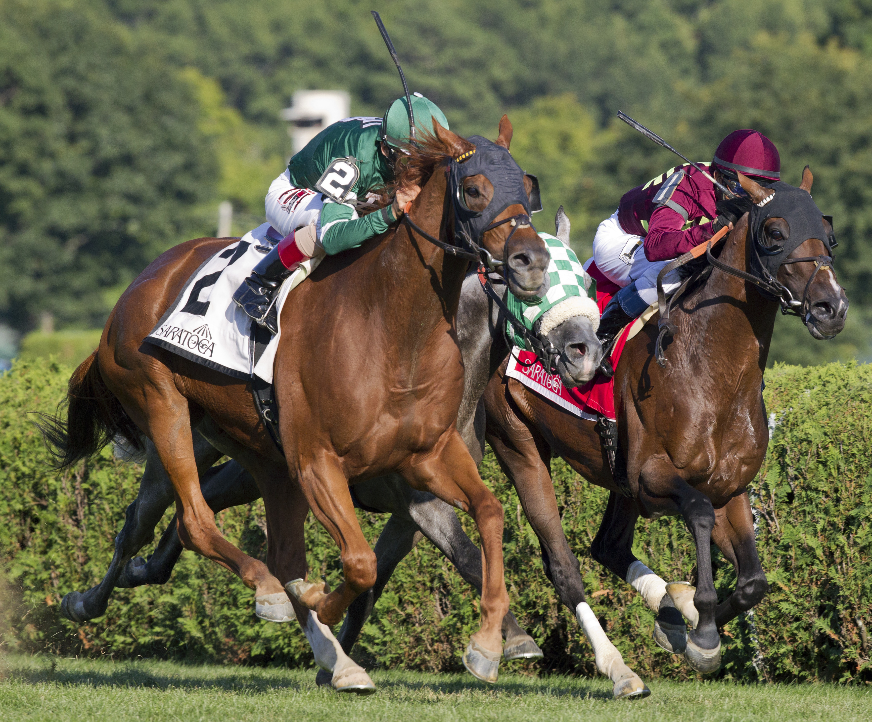 Ring Weekend wins the Bernard Baruch
