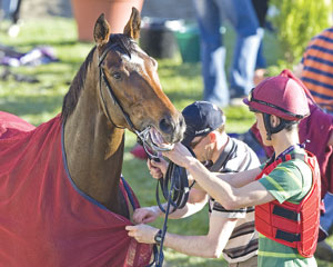 Rip Van Winkle