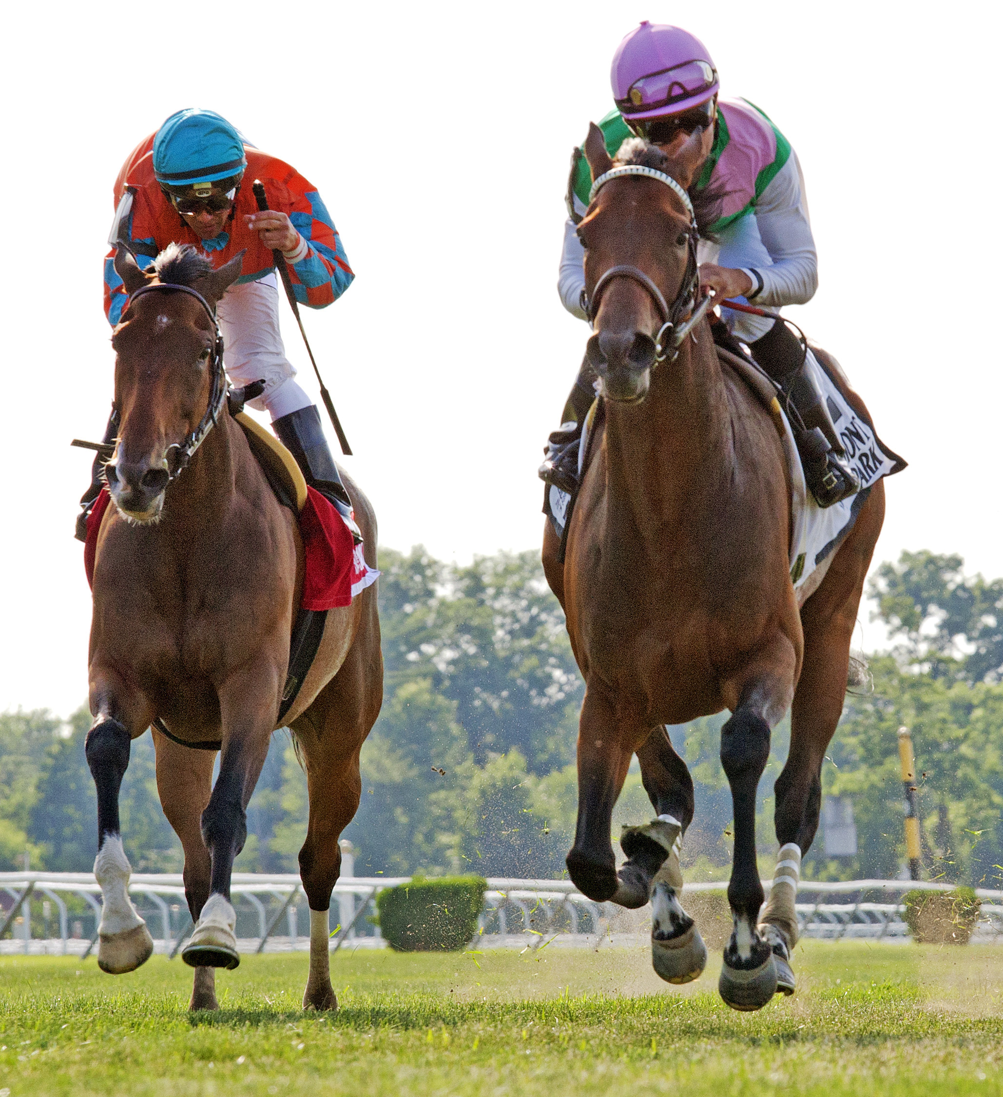 Riposte wins the 2014 New York Stakes